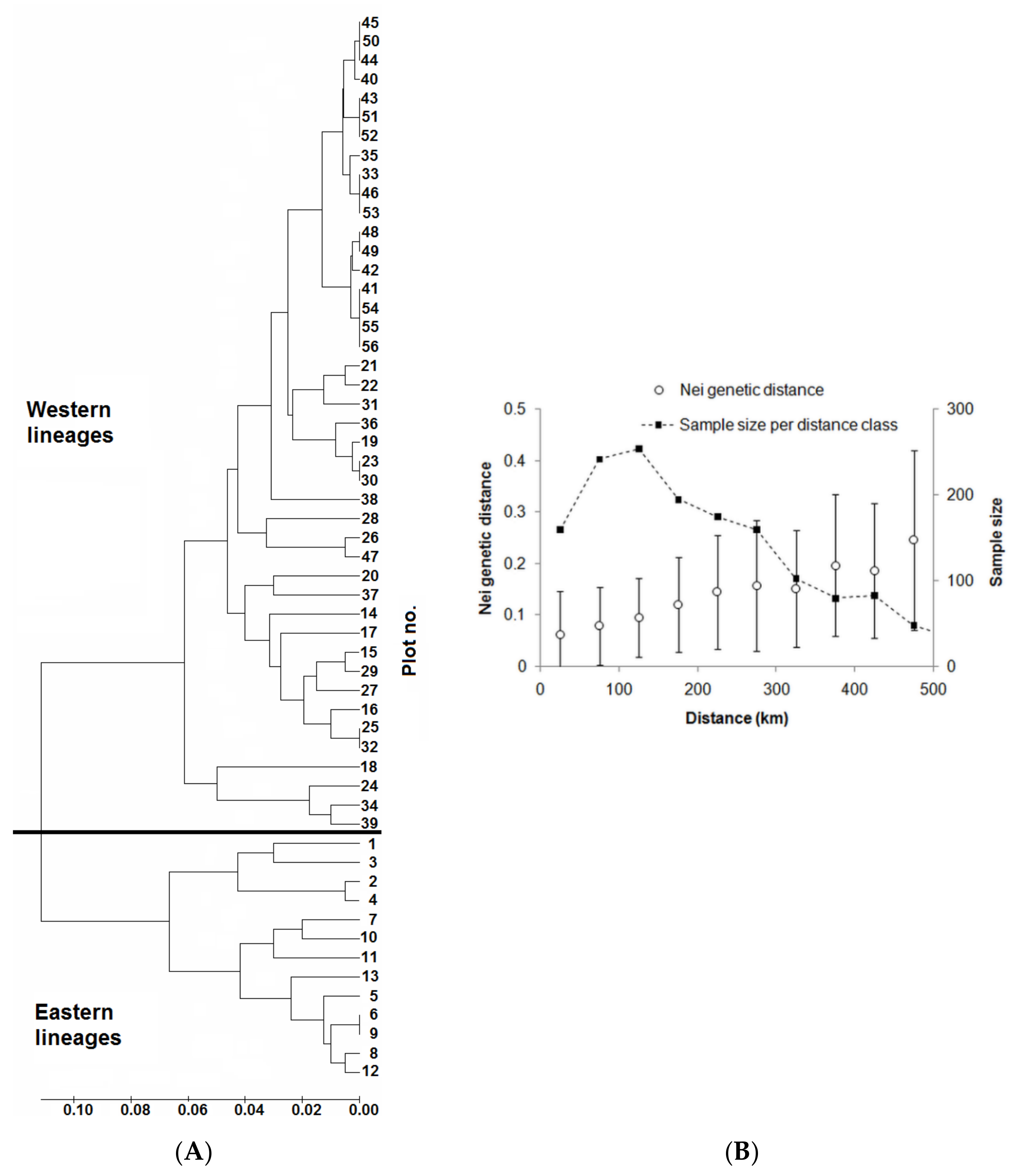 Forests 11 00849 g004