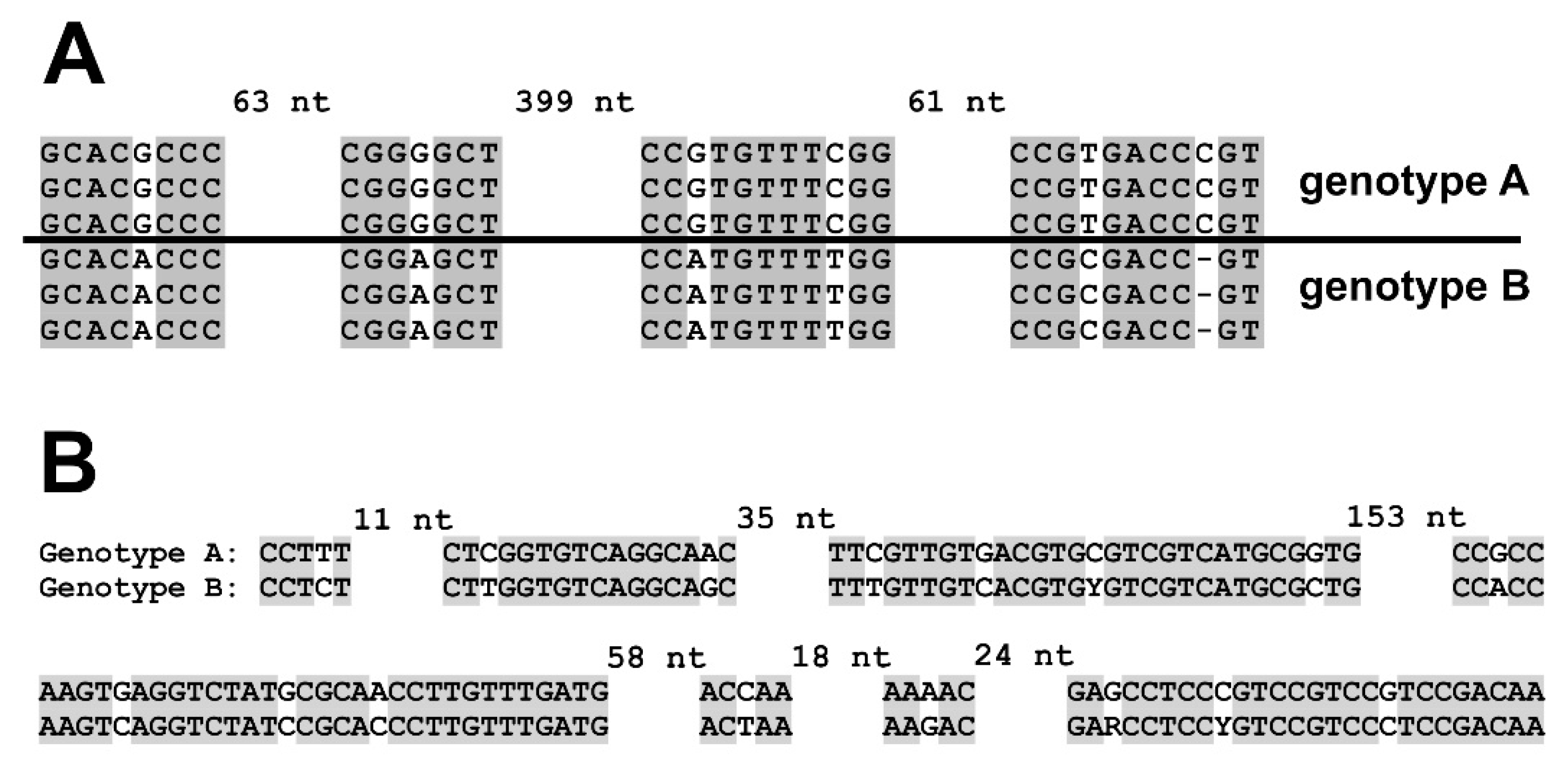 Forests 11 00850 g001