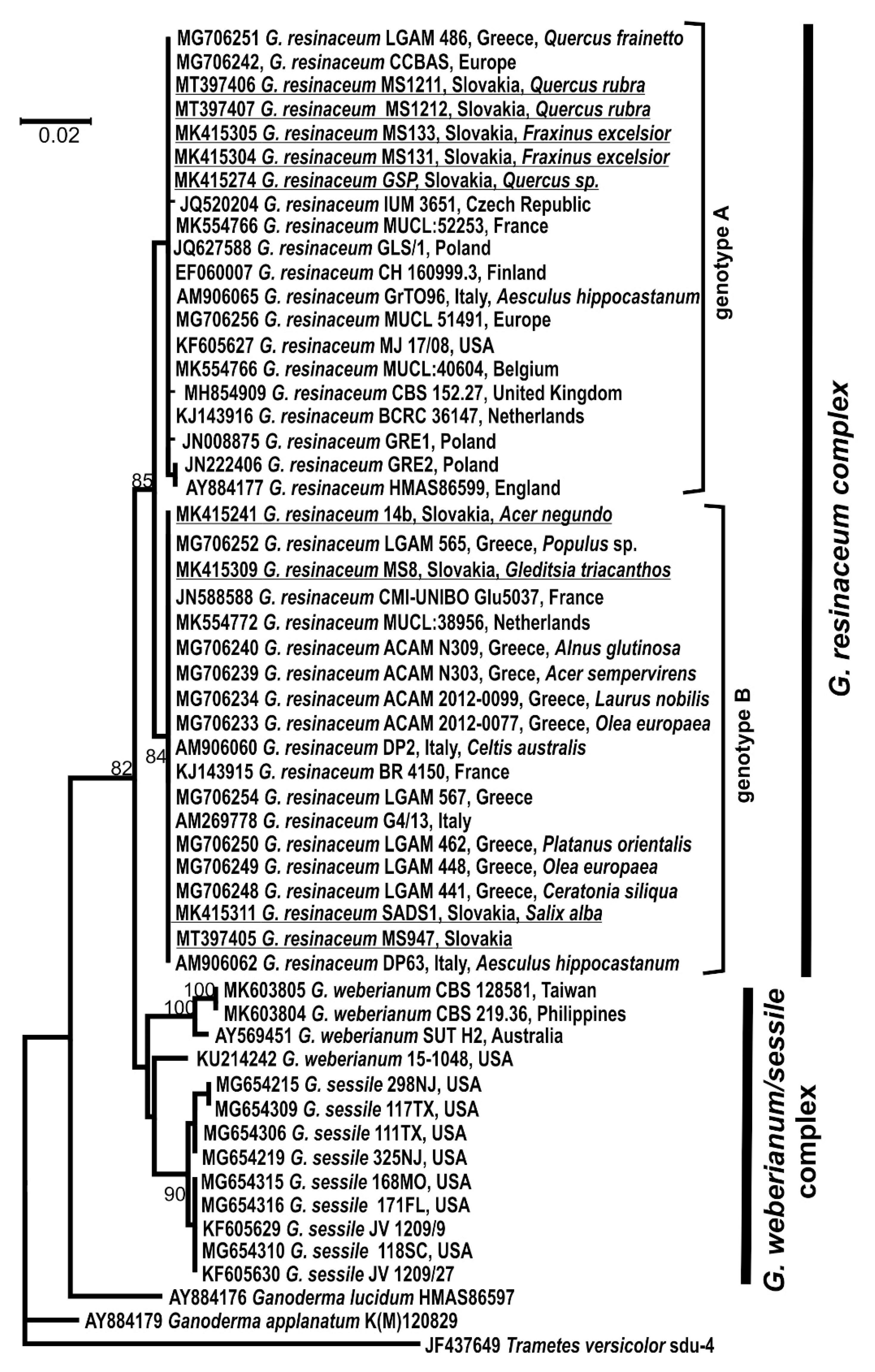 Forests 11 00850 g002