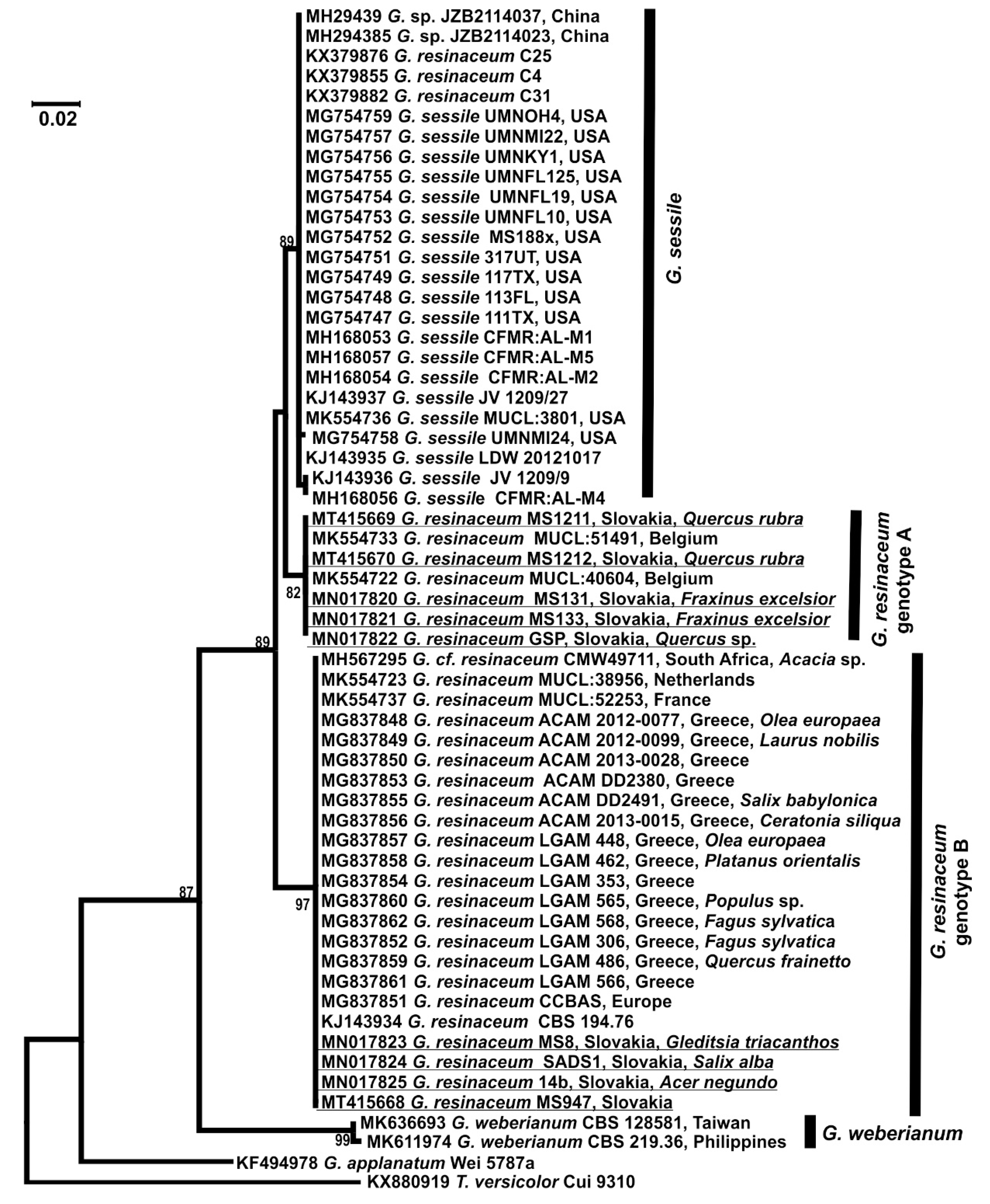 Forests 11 00850 g003