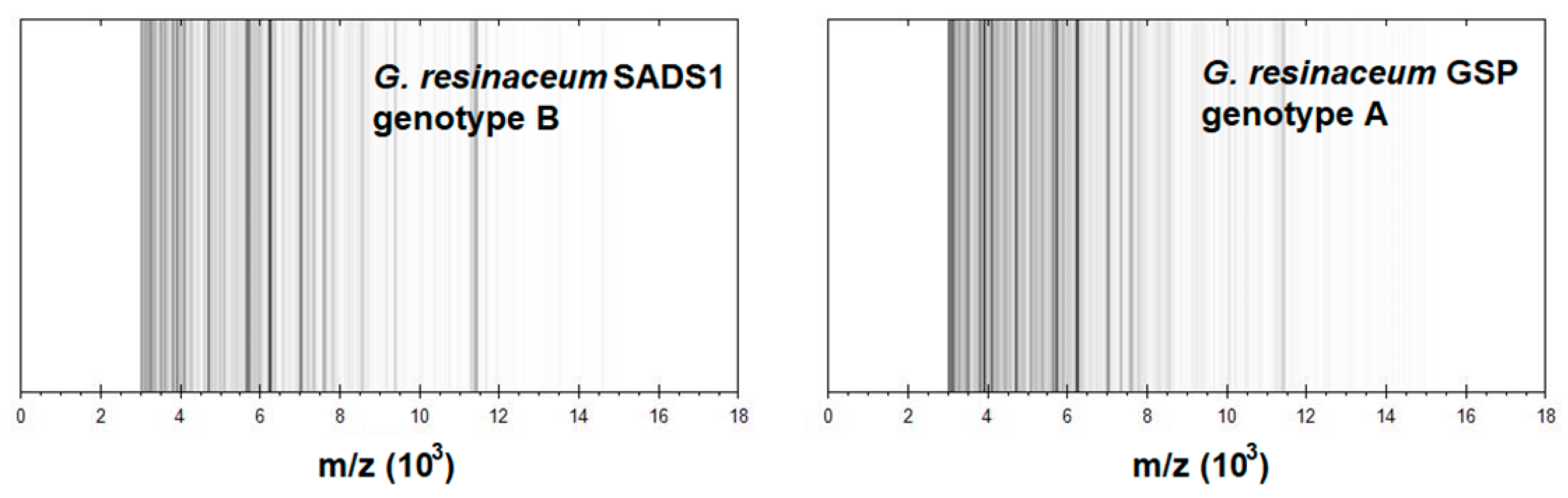 Forests 11 00850 g004