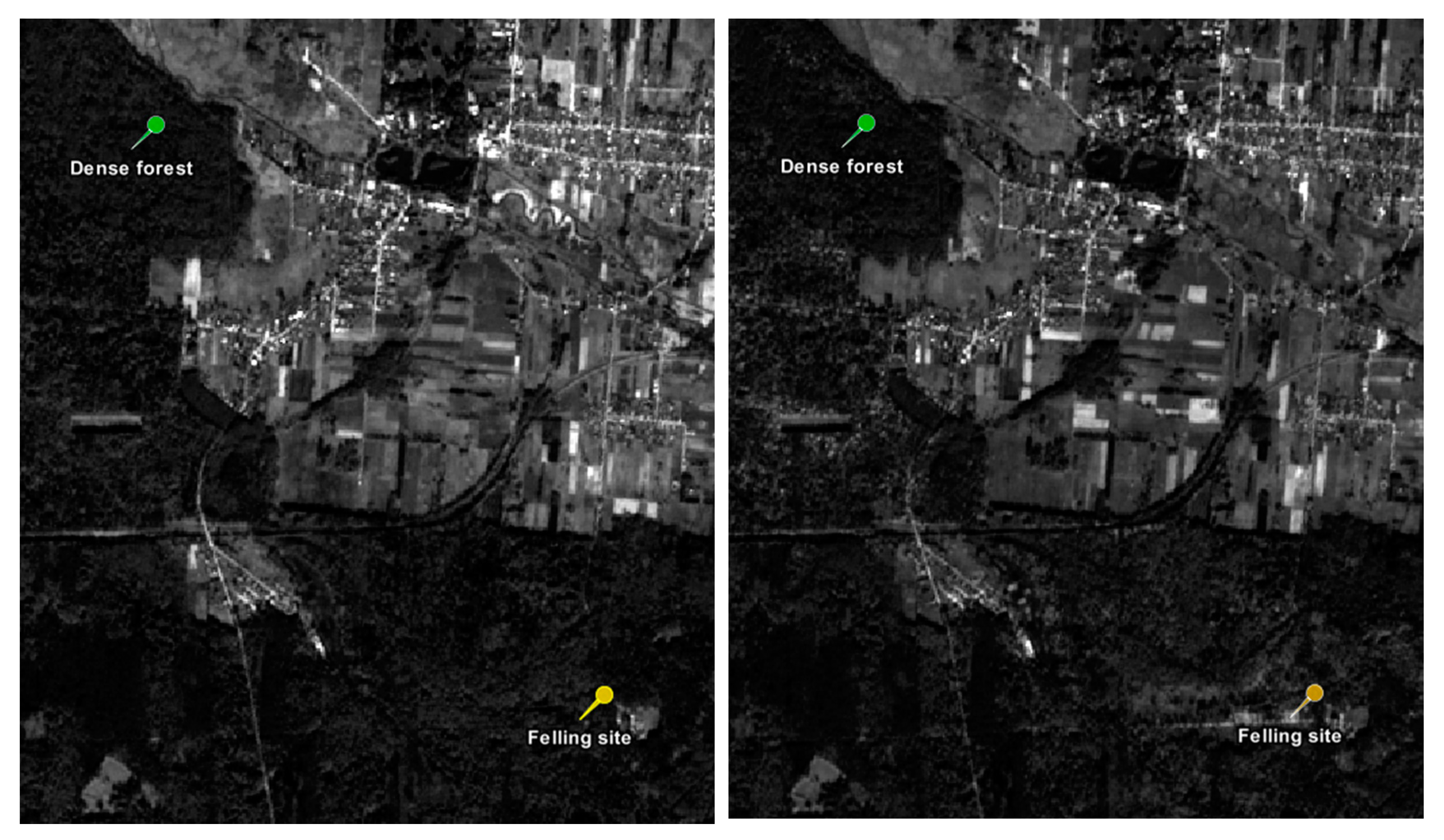 Forests 11 00857 g002 Forests 11 00857 g002