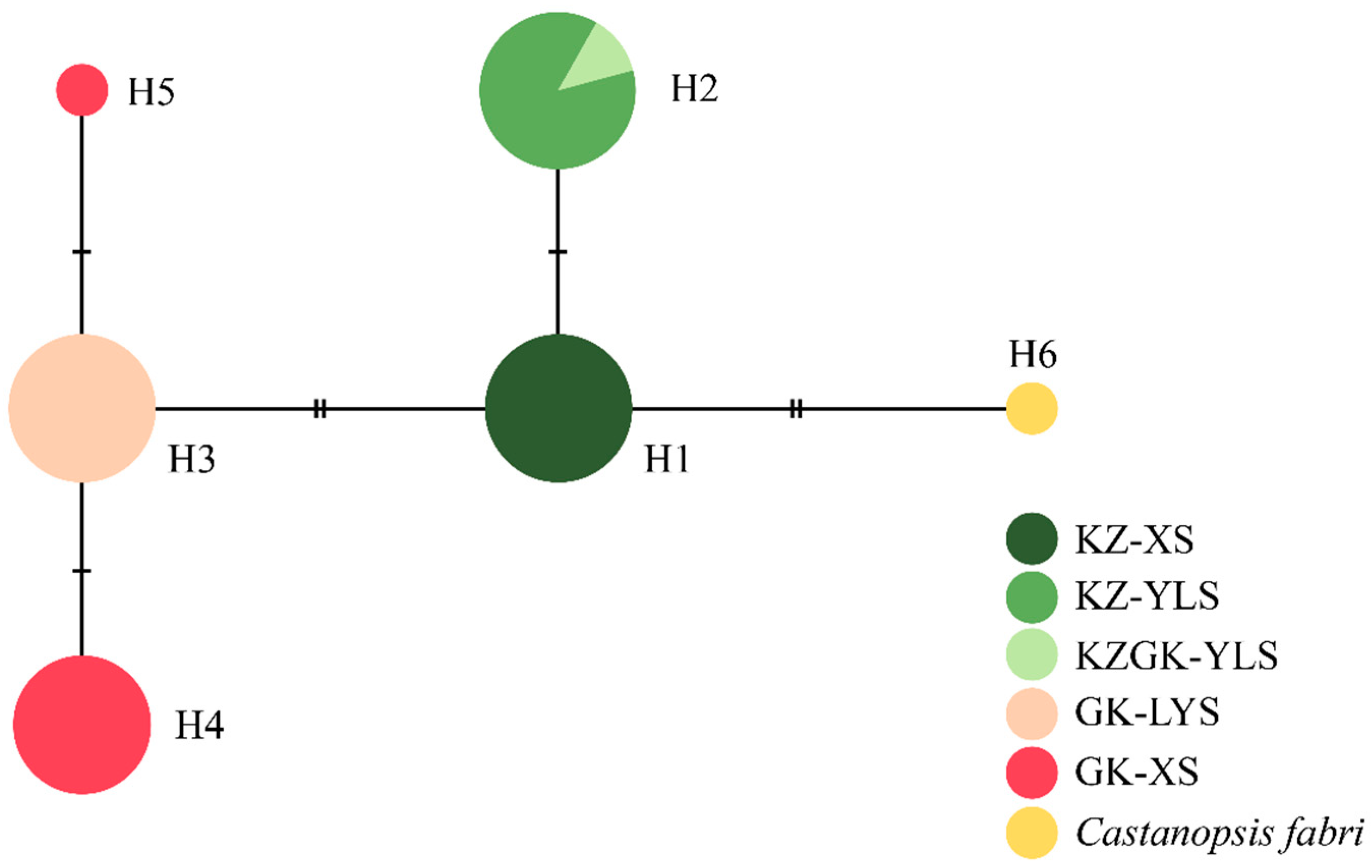 Forests 11 00873 g001