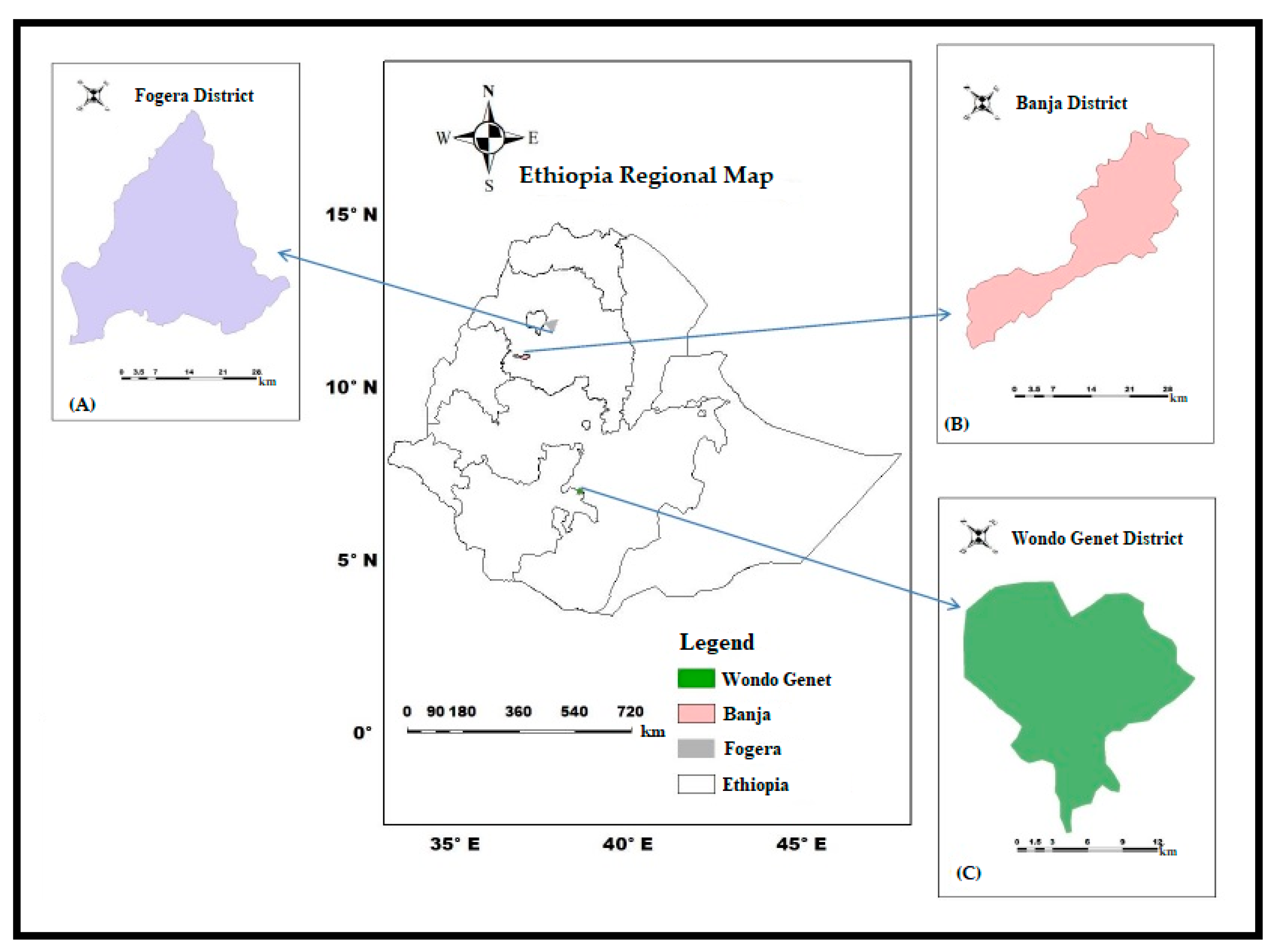Forests 11 00875 g001