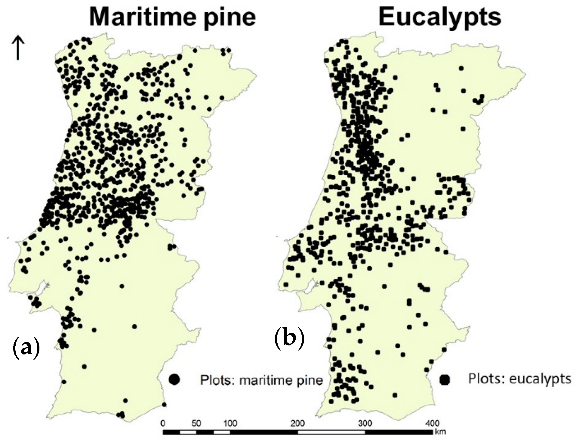 Forests 11 00880 g002