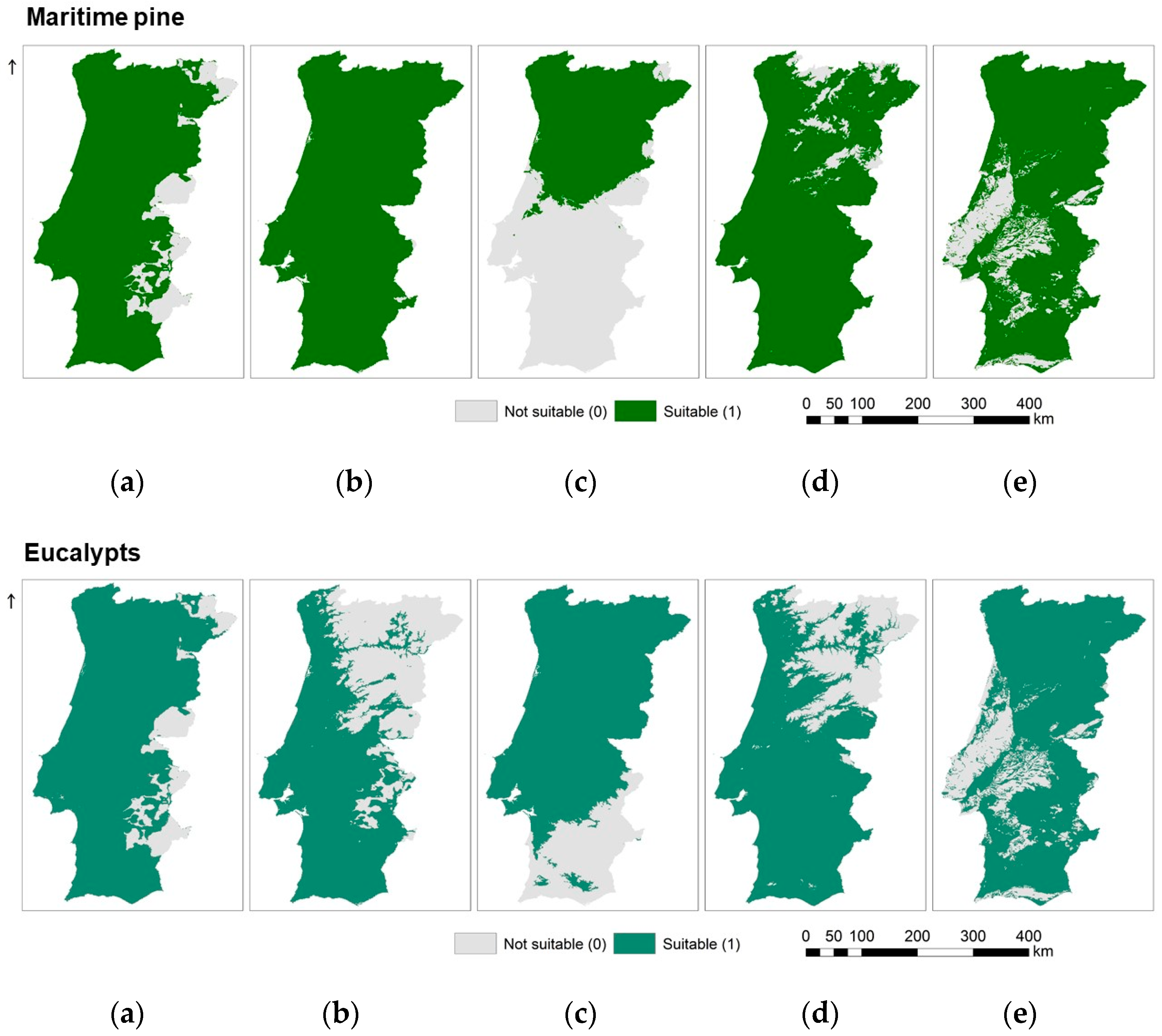 Forests 11 00880 g003