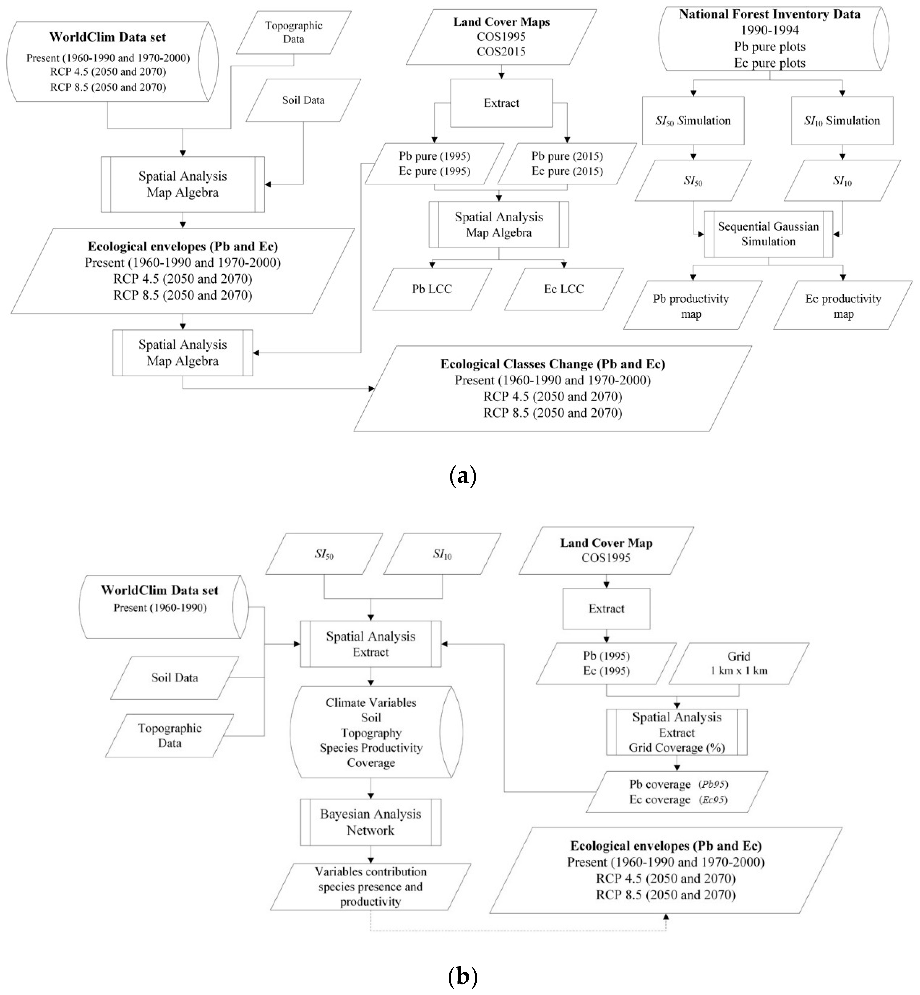 Forests 11 00880 g004