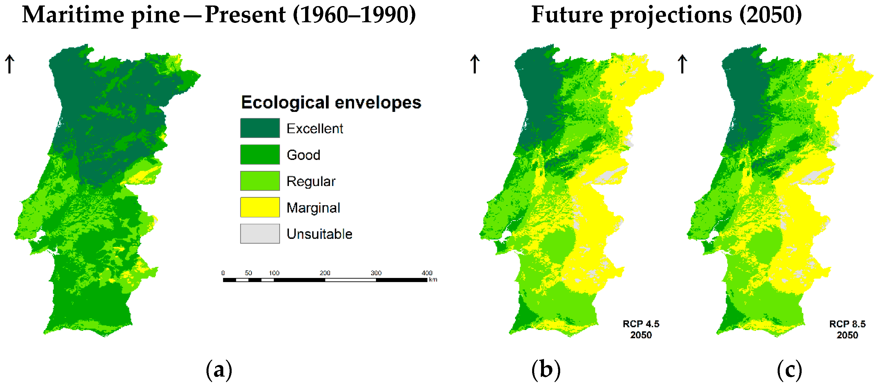 Forests 11 00880 g005a