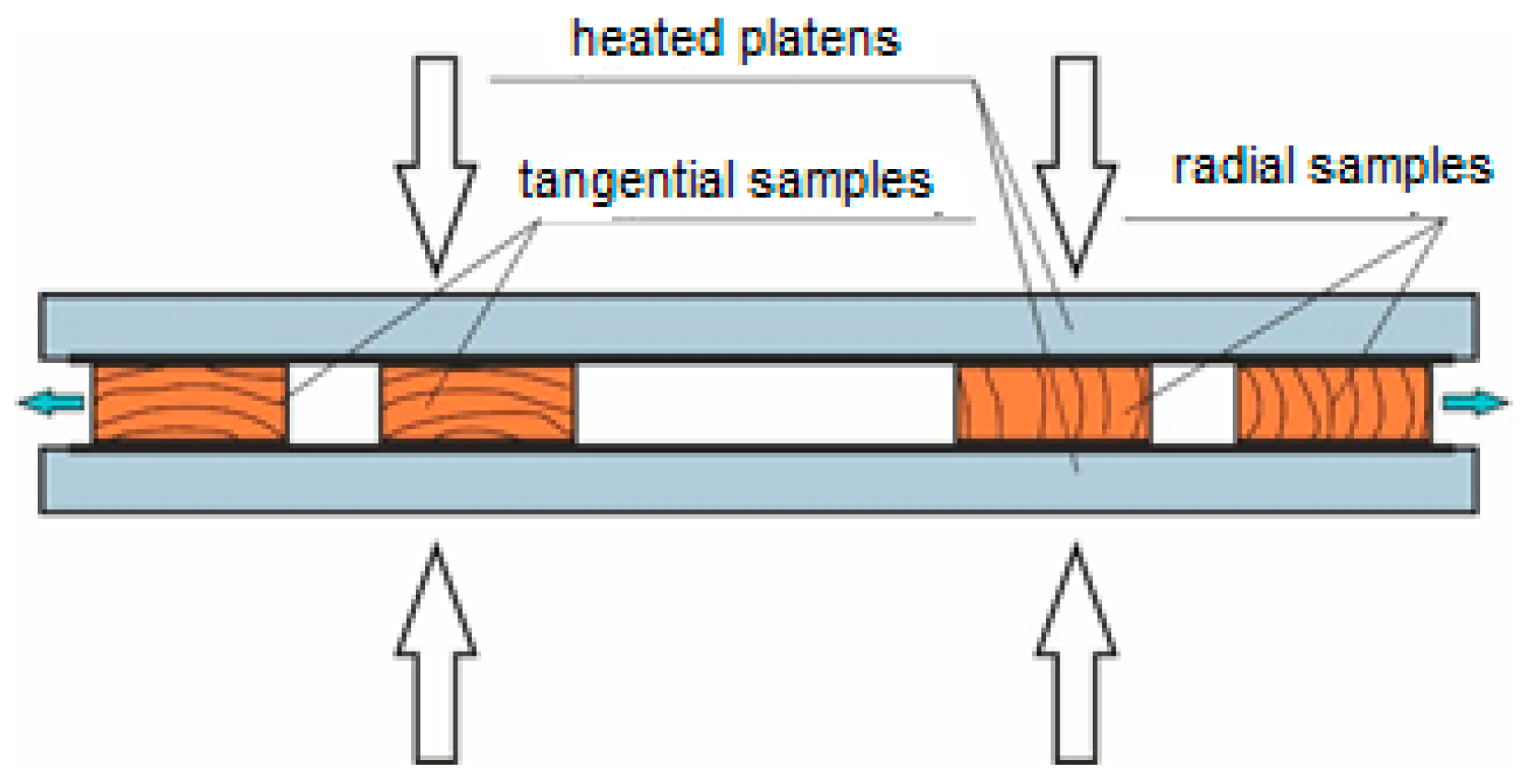 Forests 11 00890 g002