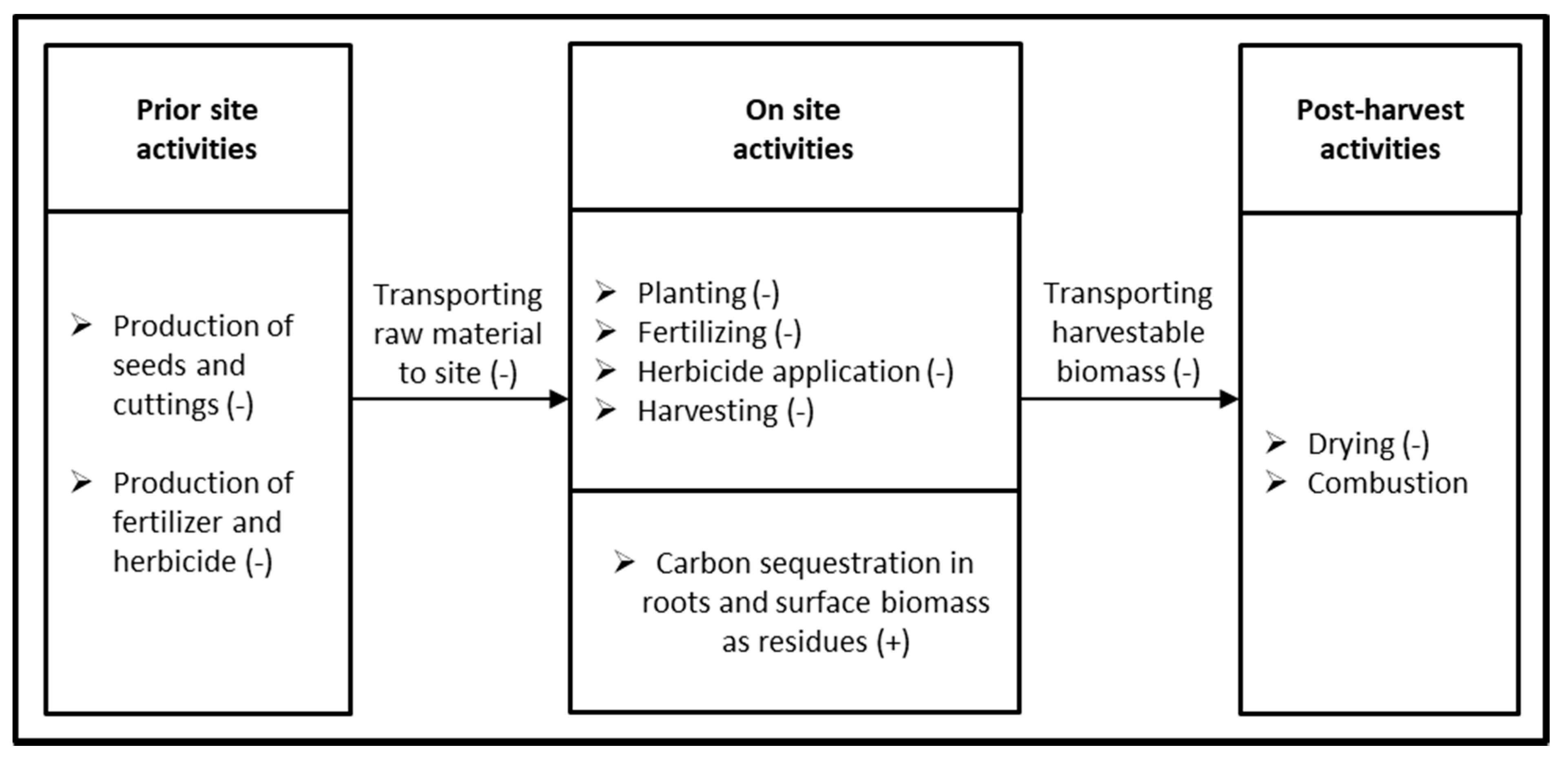 Forests 11 00899 g002