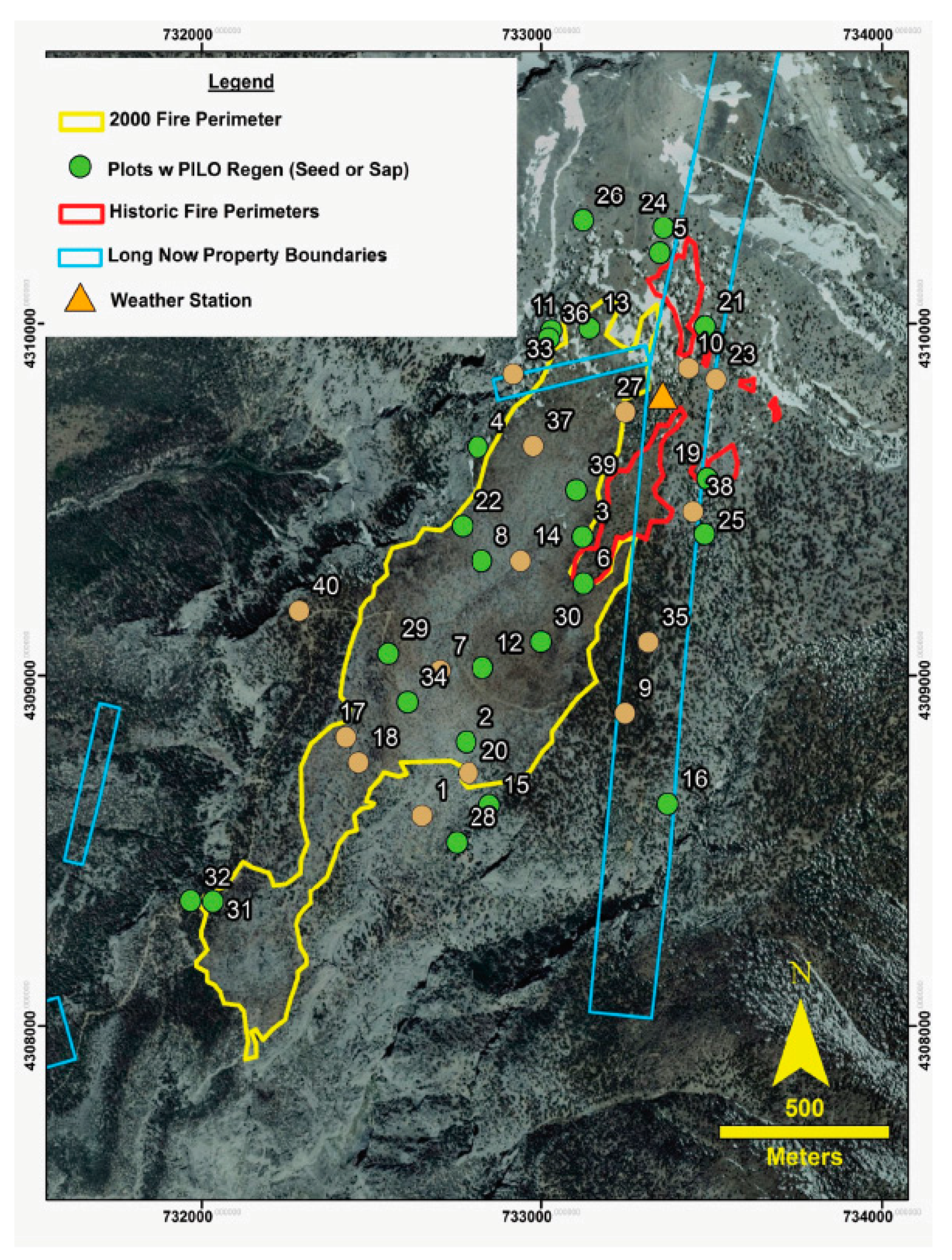 Forests 11 00900 g001