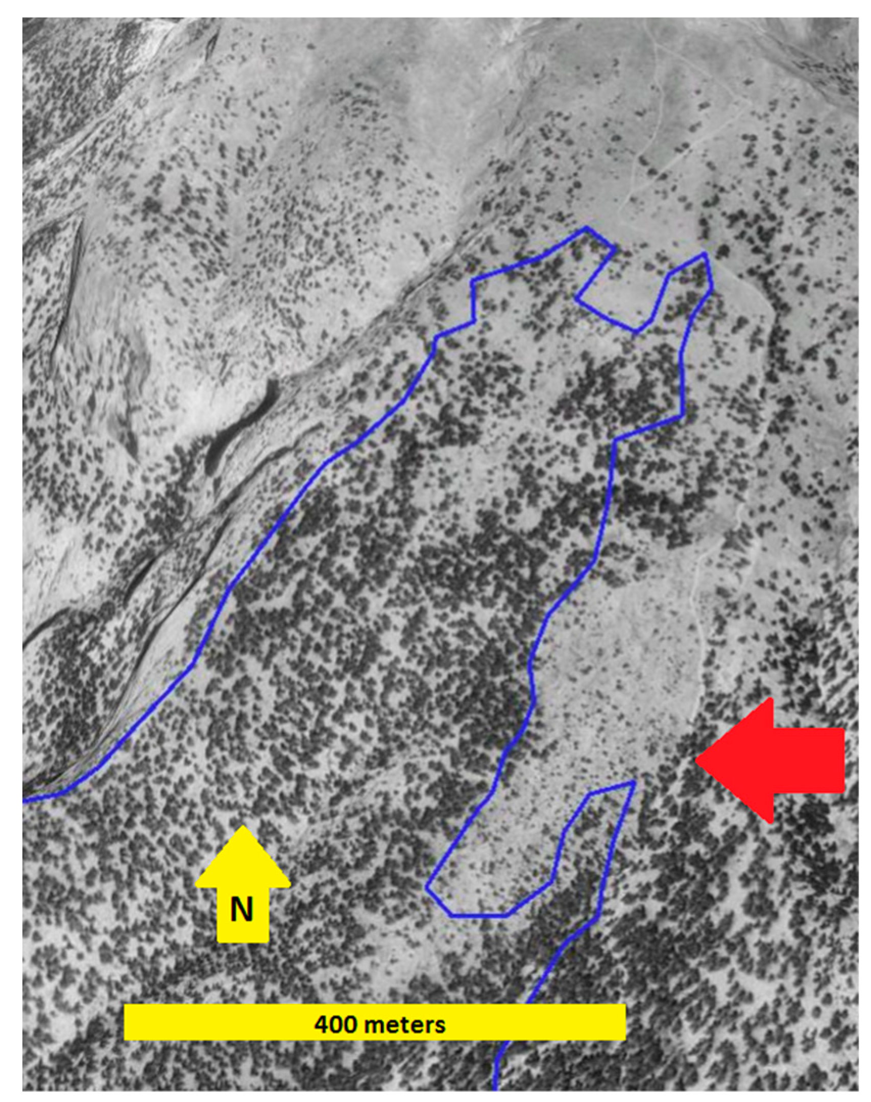 Forests 11 00900 g002
