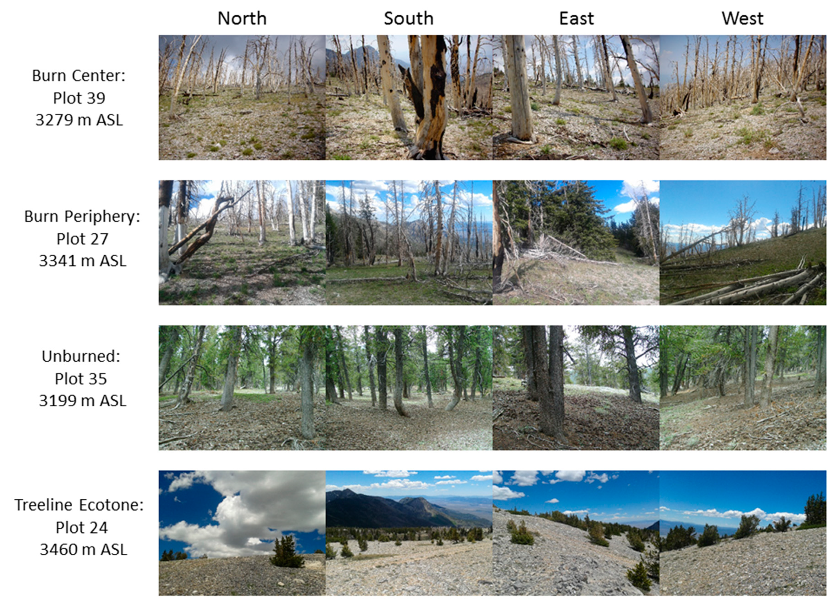 Forests 11 00900 g003