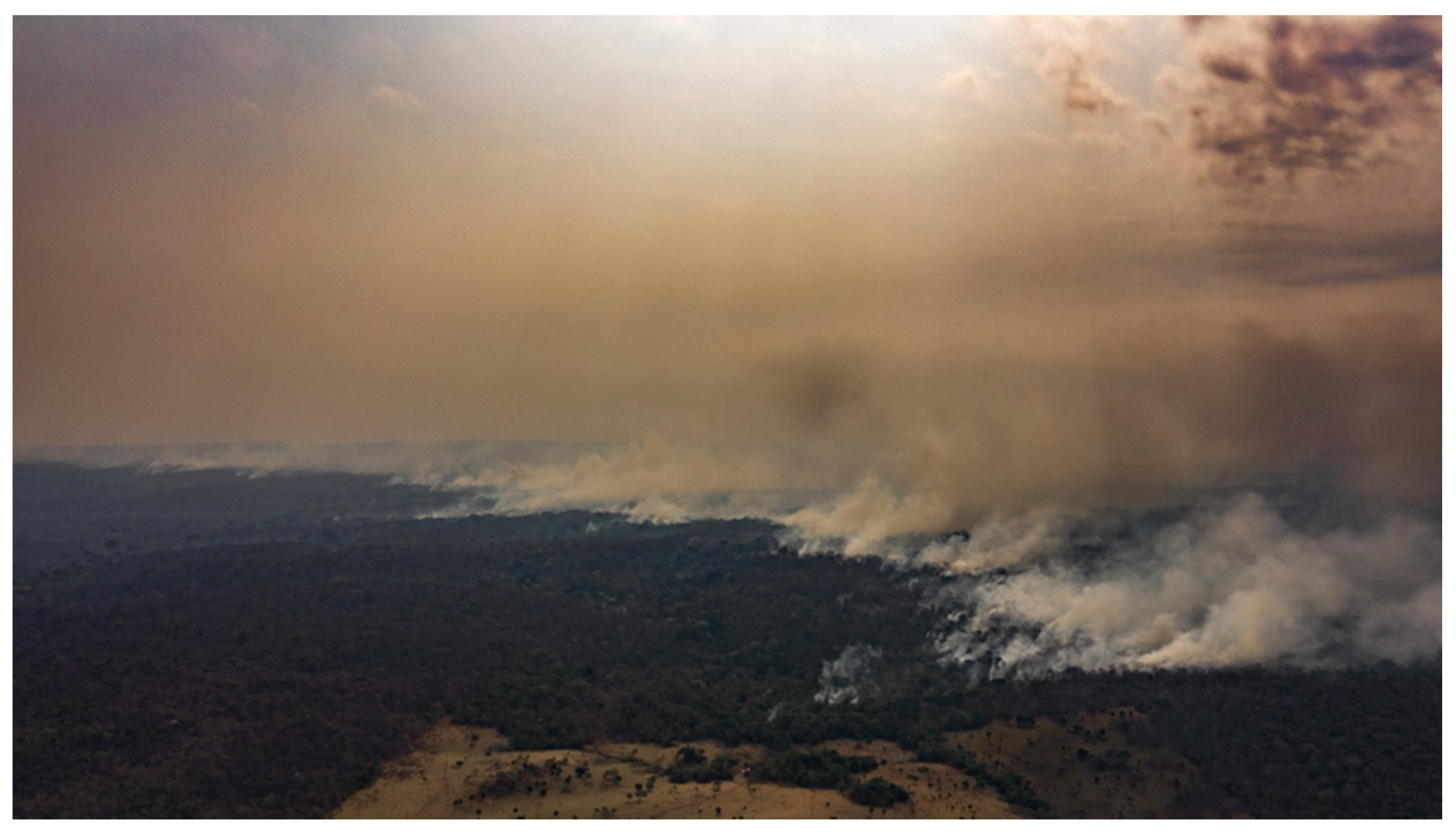 Forests 11 00910 g002