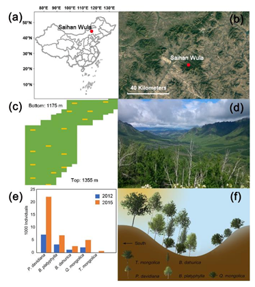 Forests 11 00942 g001