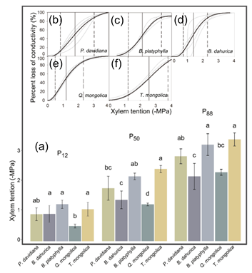 Forests 11 00942 g004