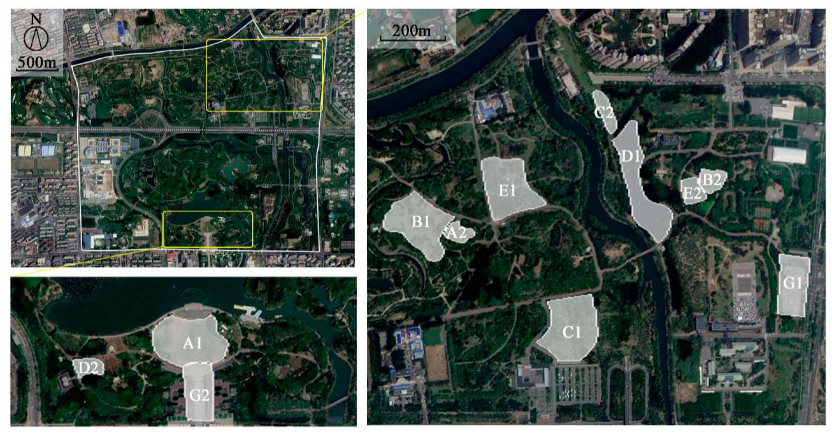 Forests 11 00950 g001