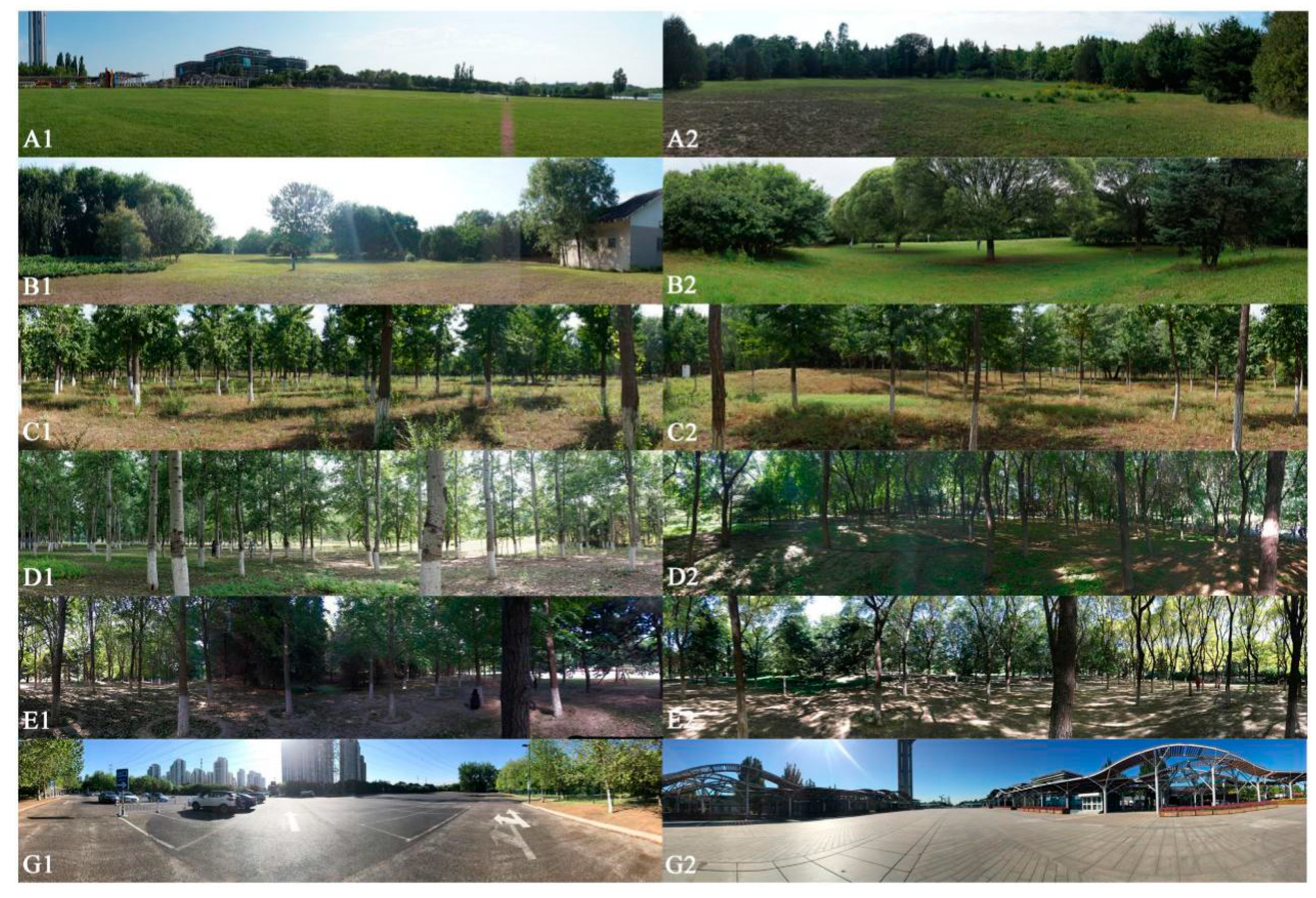 Forests 11 00950 g002