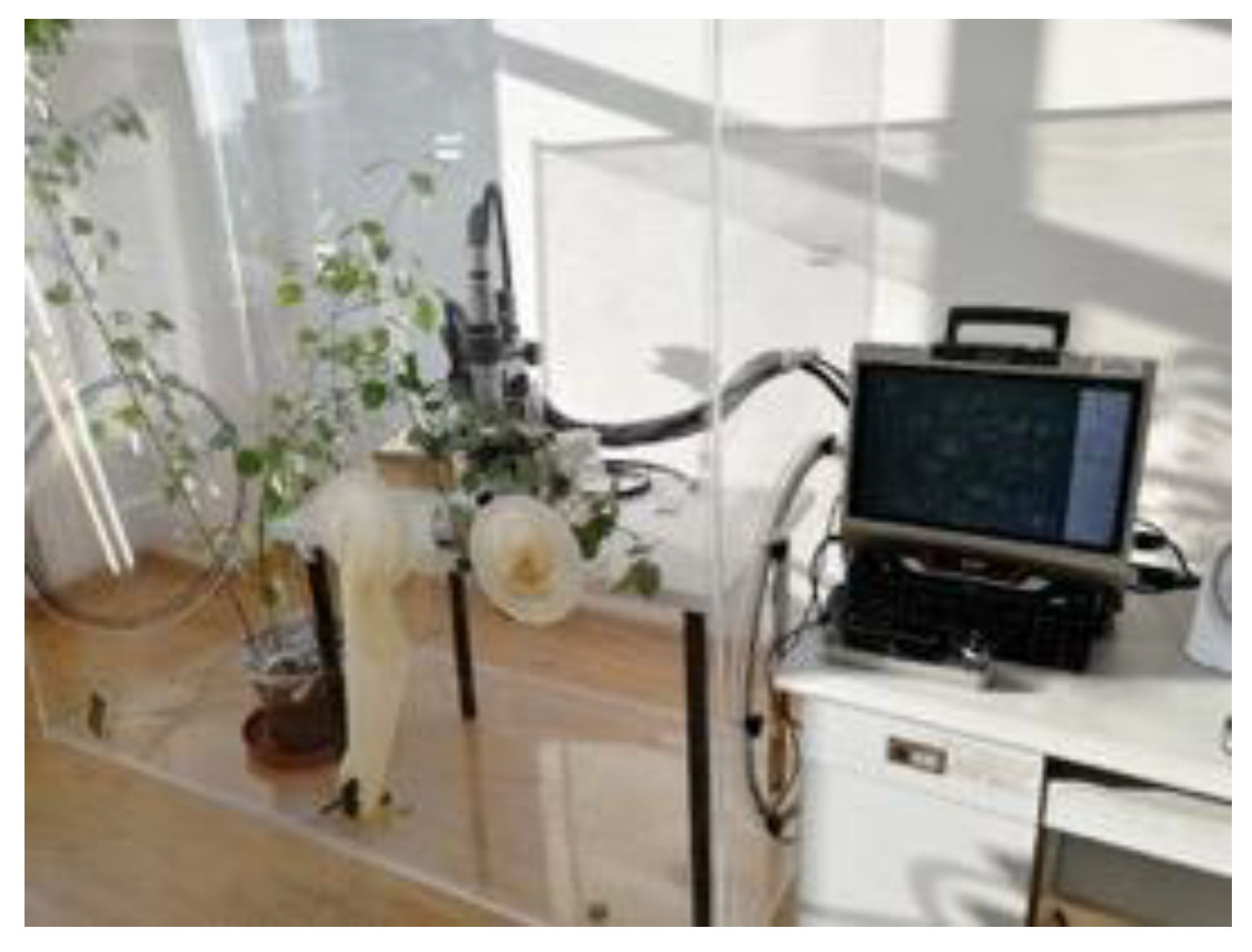 Forests 11 00954 g001