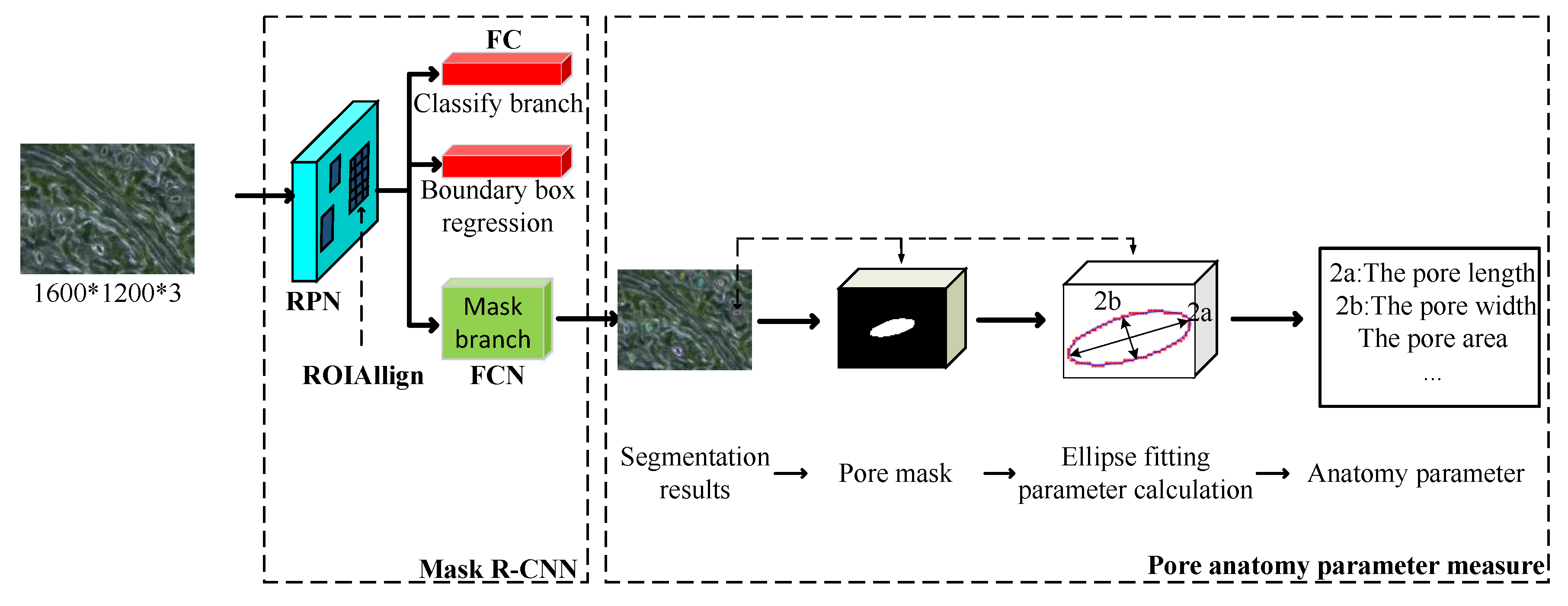Forests 11 00954 g003