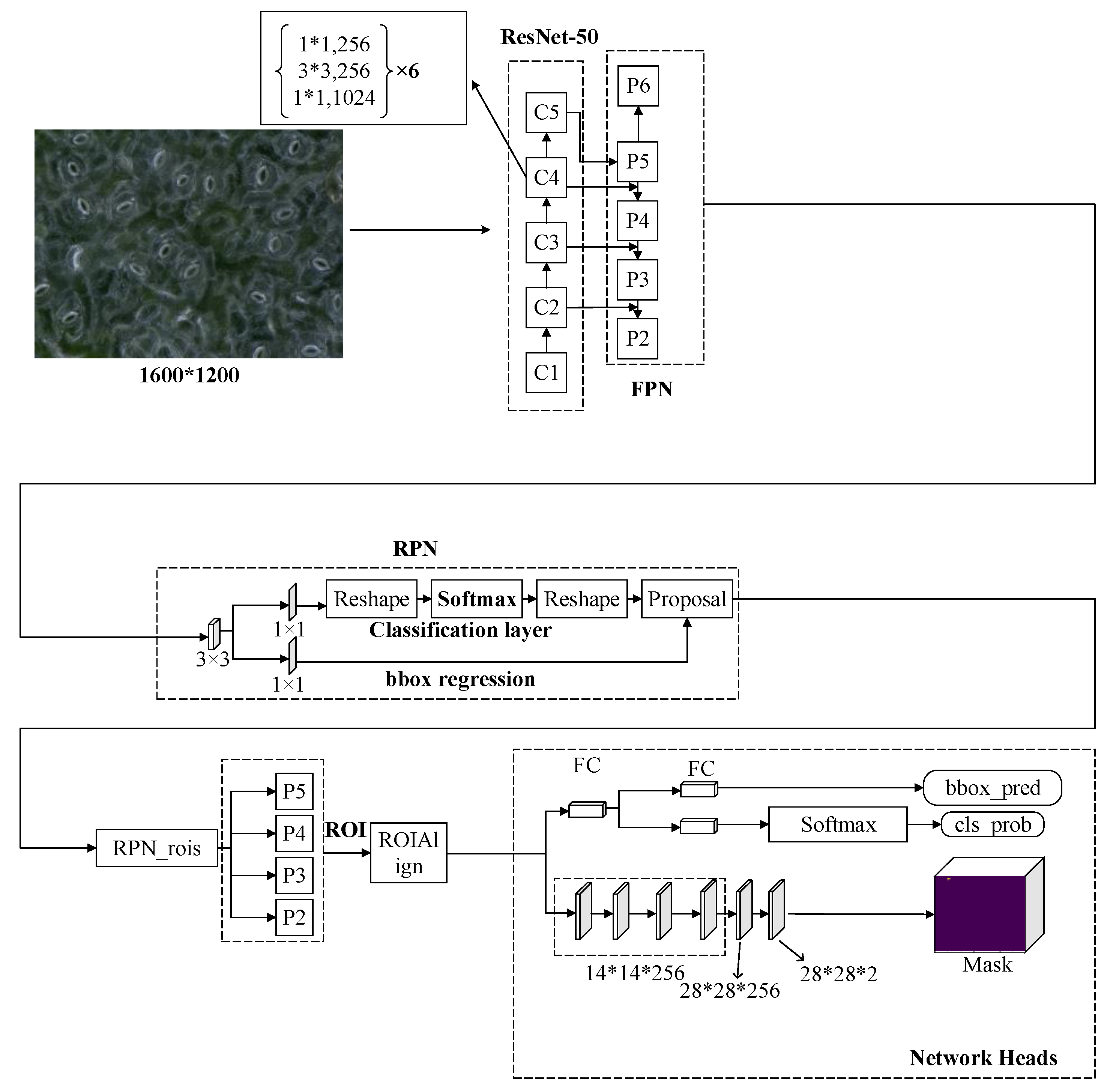 Forests 11 00954 g005