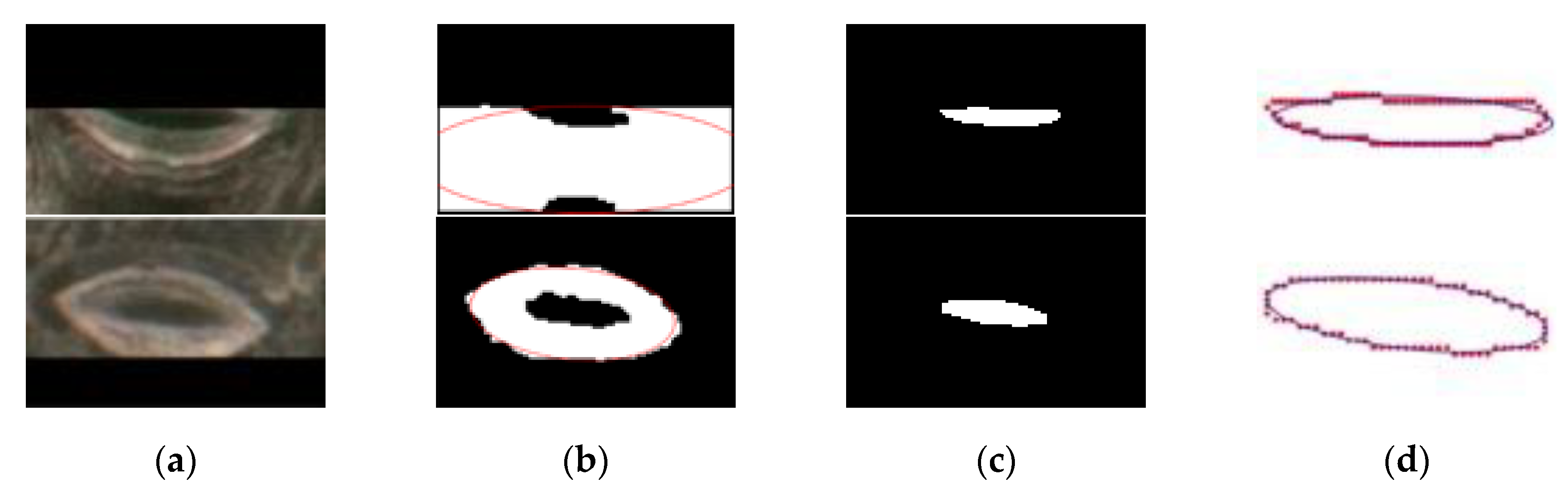 Forests 11 00954 g010