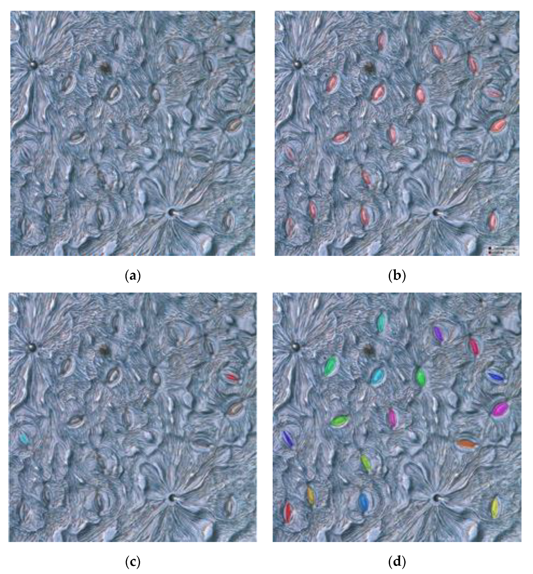 Forests 11 00954 g011