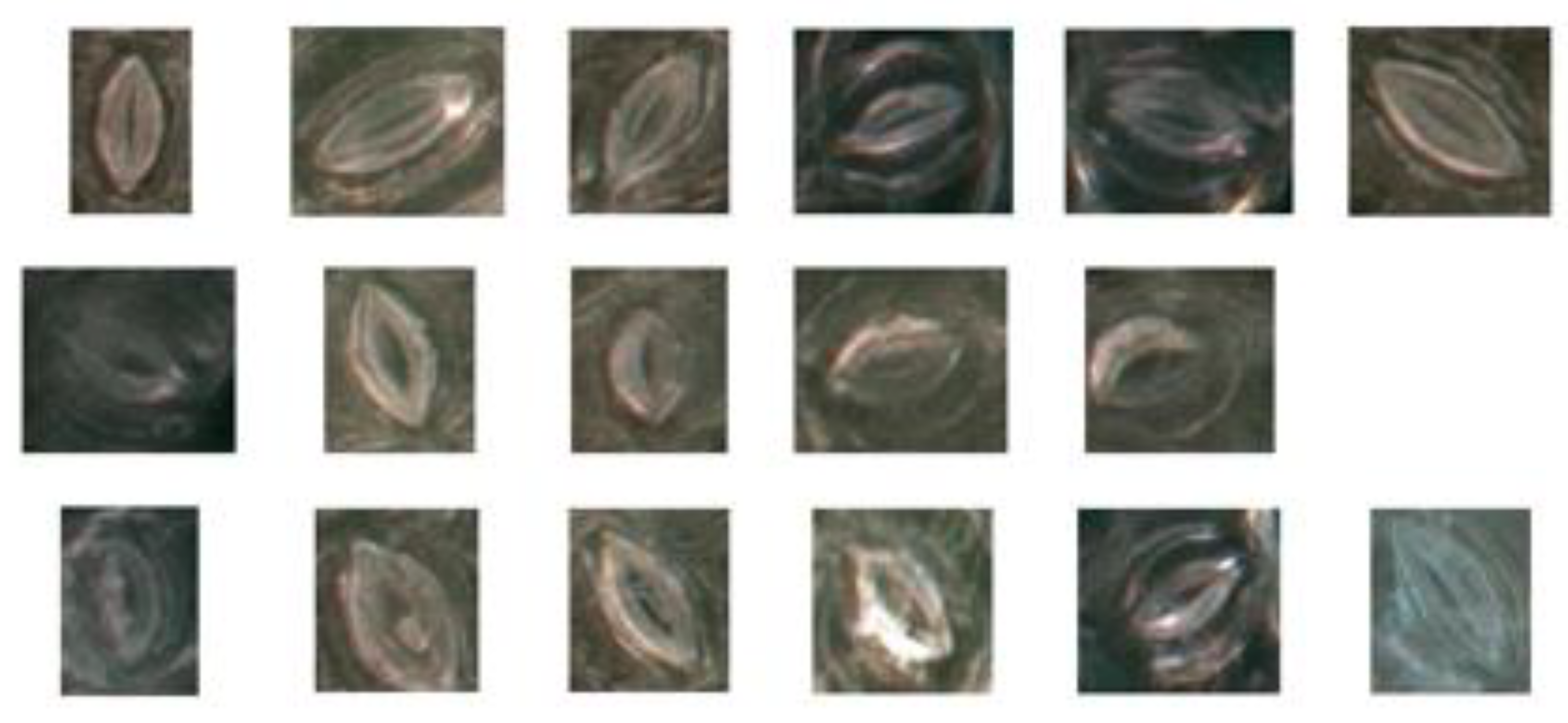 Forests 11 00954 g013