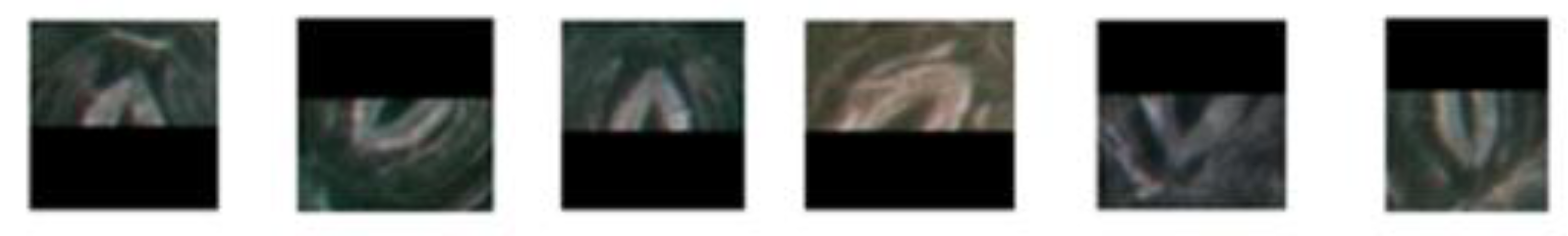 Forests 11 00954 g014