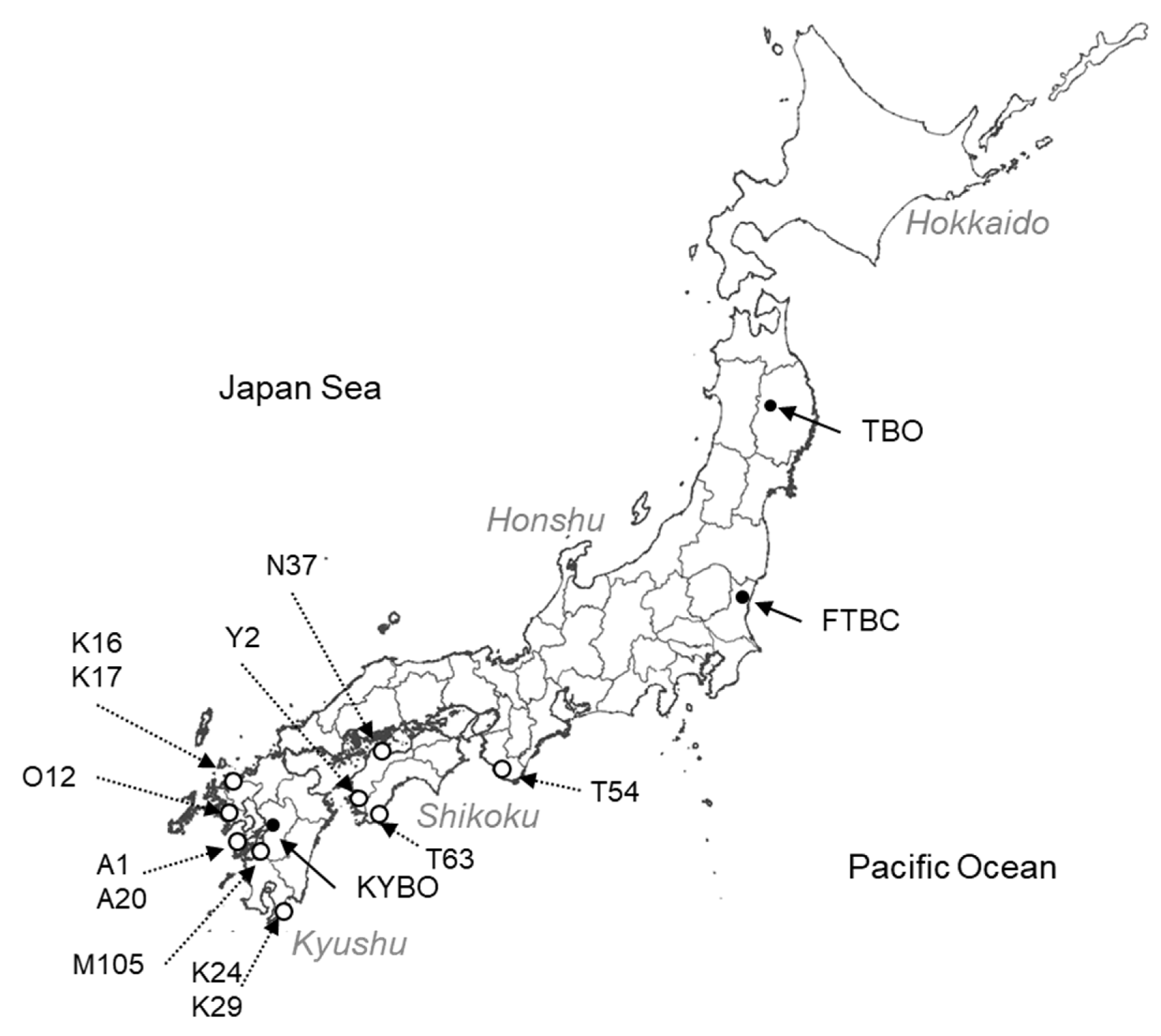 Forests 11 00955 g001