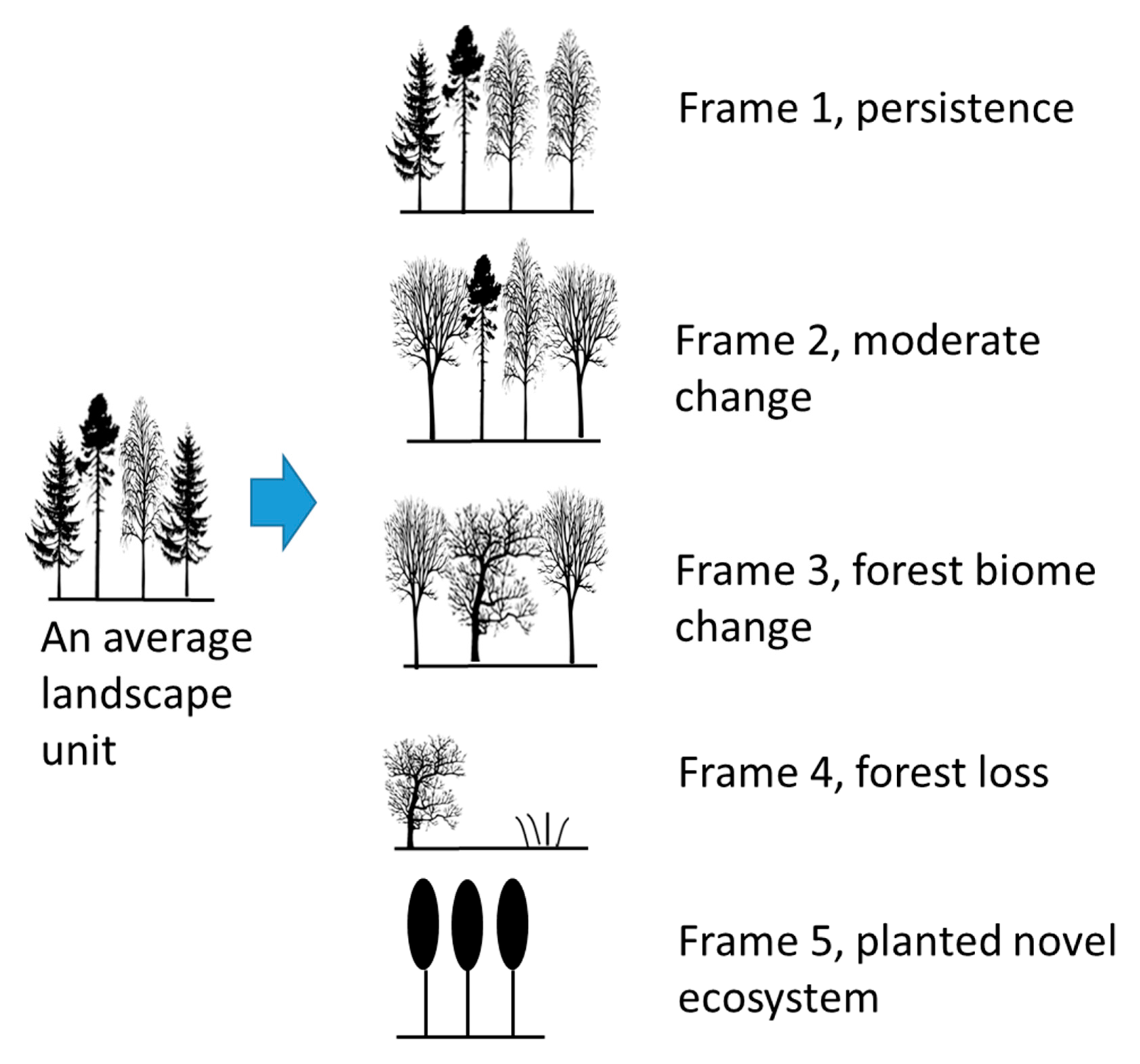 Forests 11 00965 g003