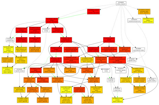 Forests 11 00970 g0a2