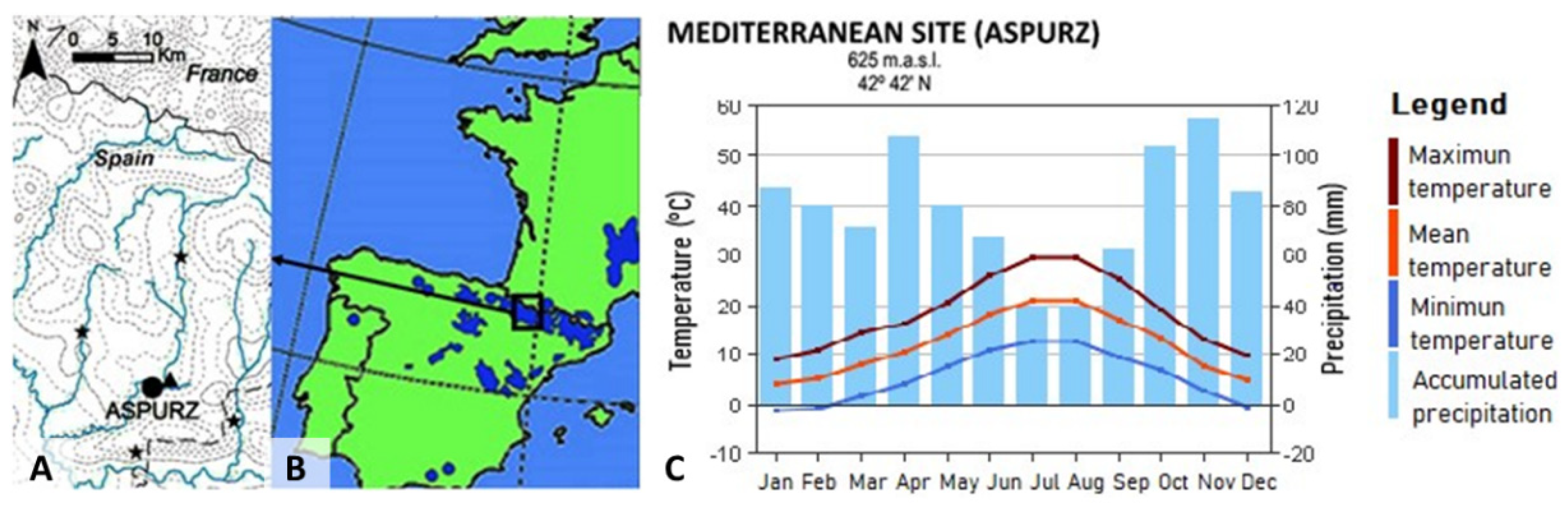 Forests 11 00975 g001