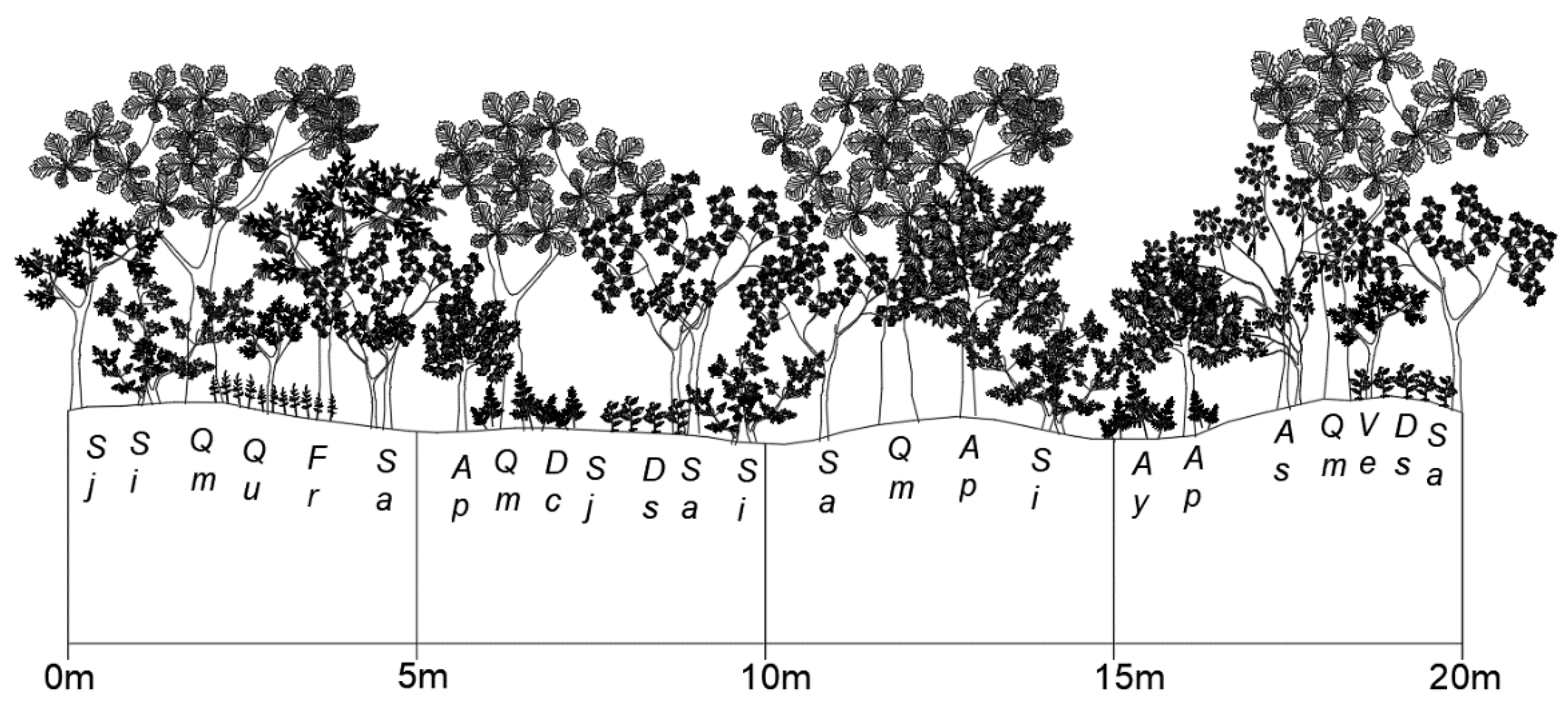 Forests 11 00984 g002 Forests 11 00984 g002