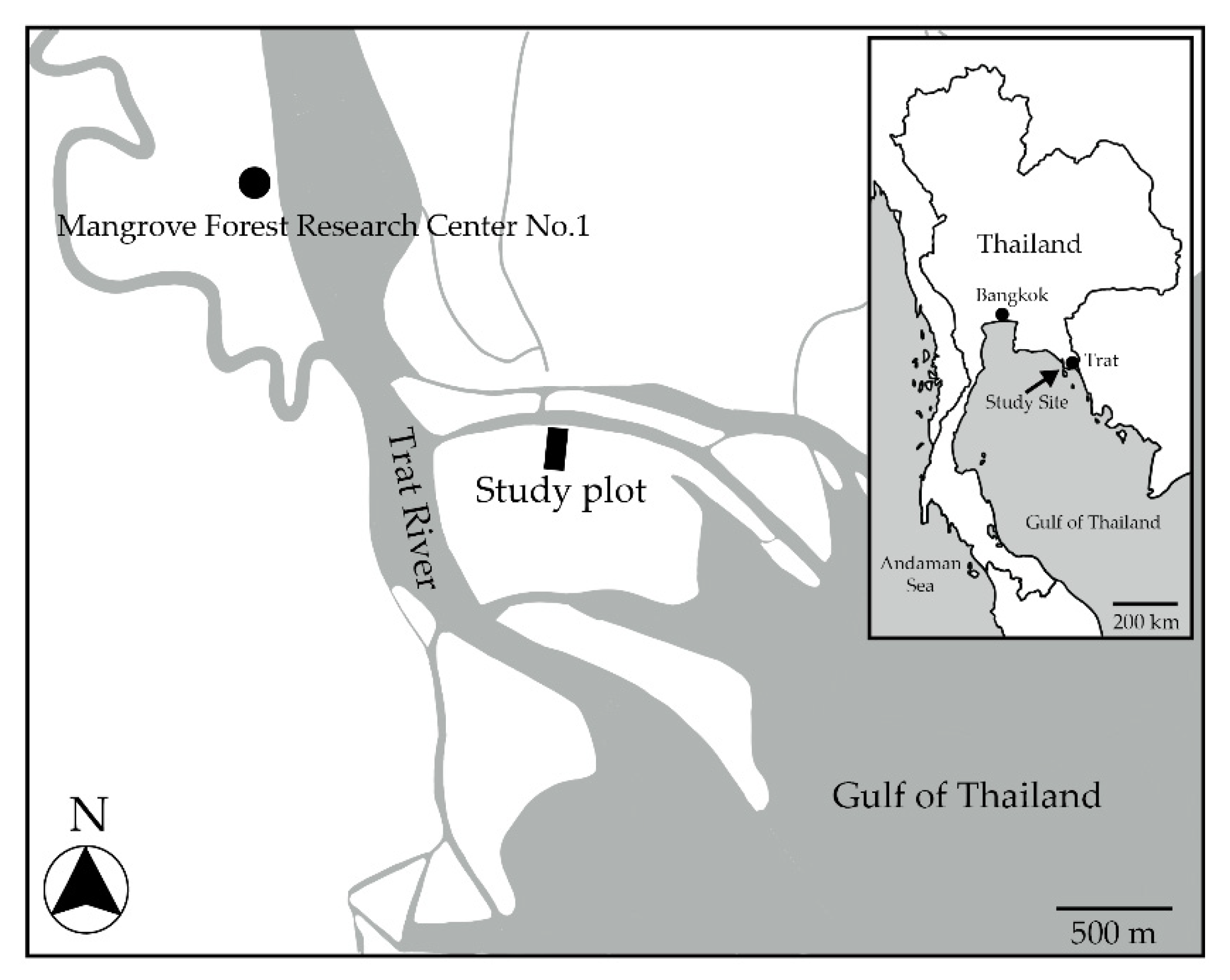 Forests 11 00987 g001