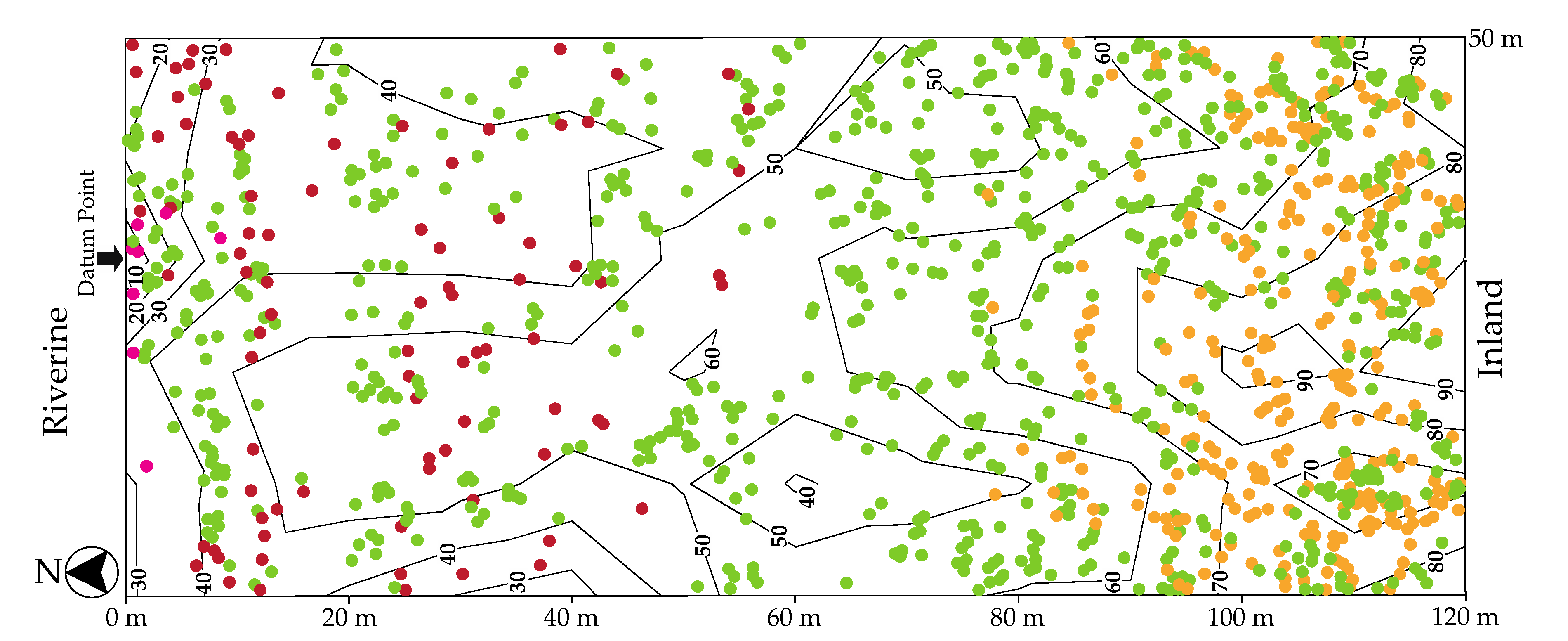Forests 11 00987 g004