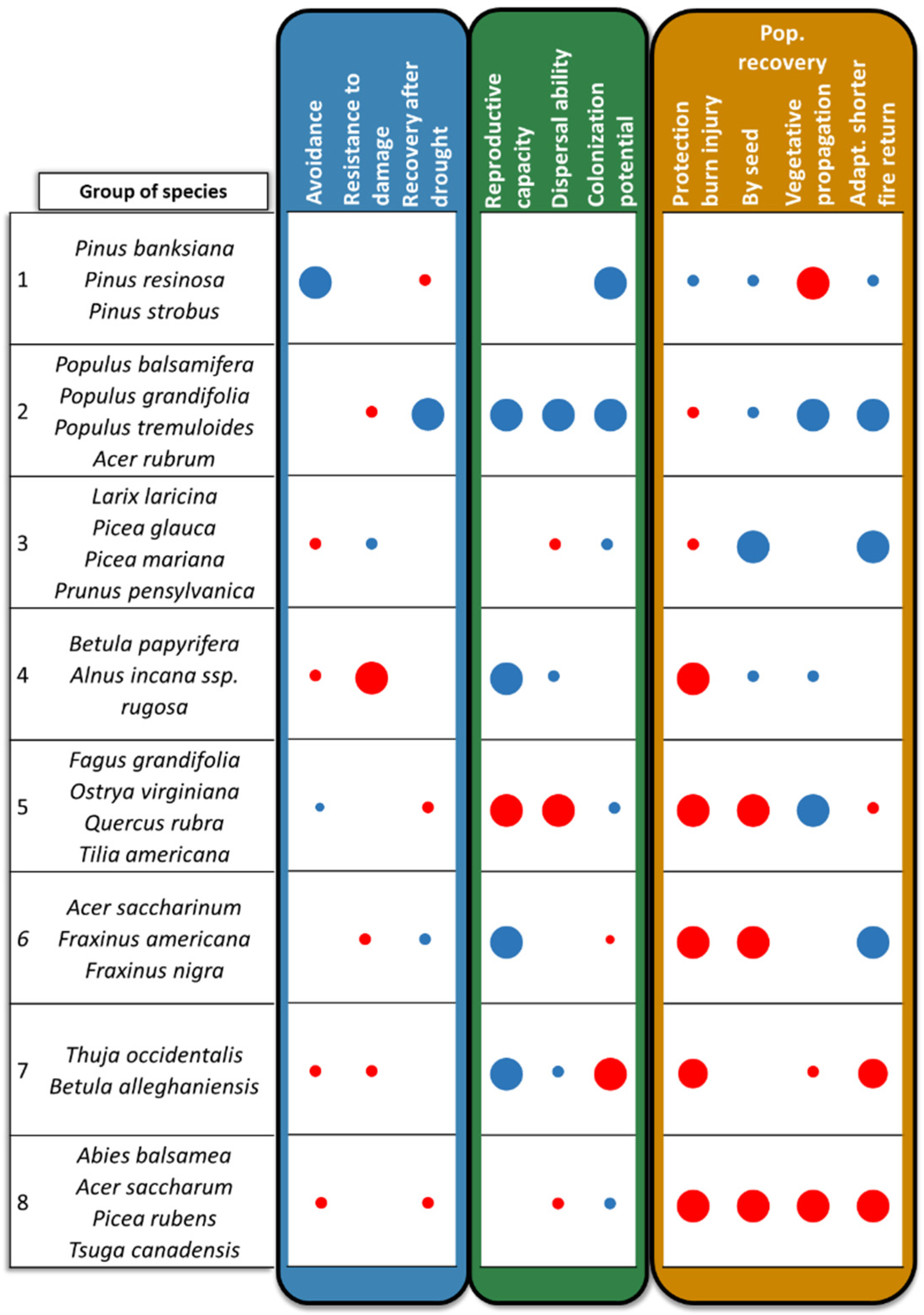 Forests 11 00989 g005
