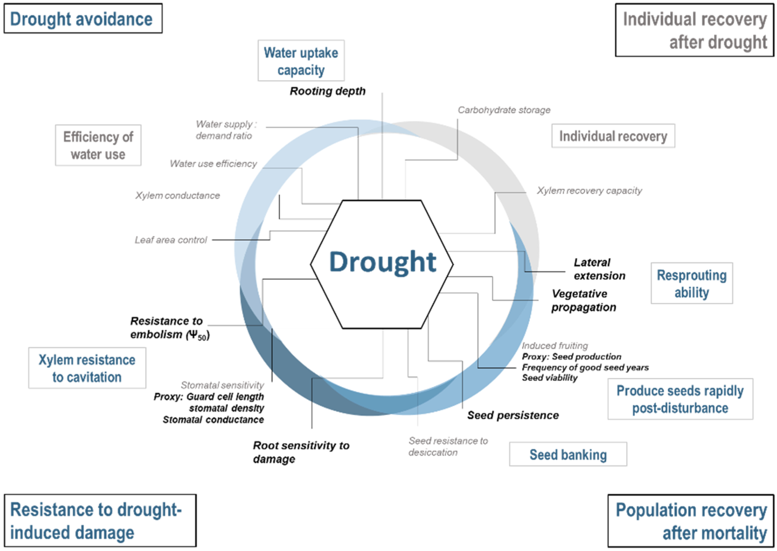 Forests 11 00989 sch001