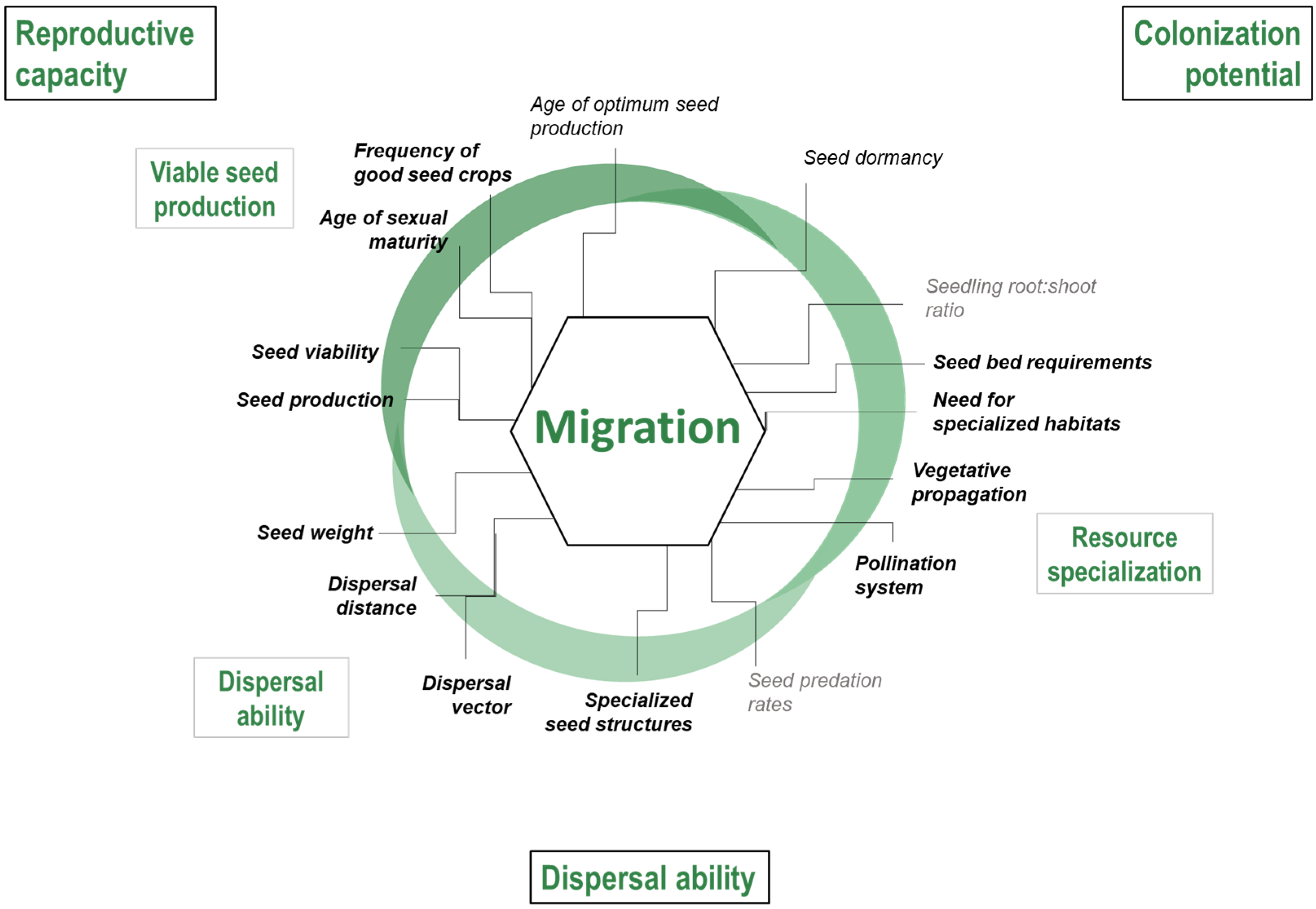 Forests 11 00989 sch002