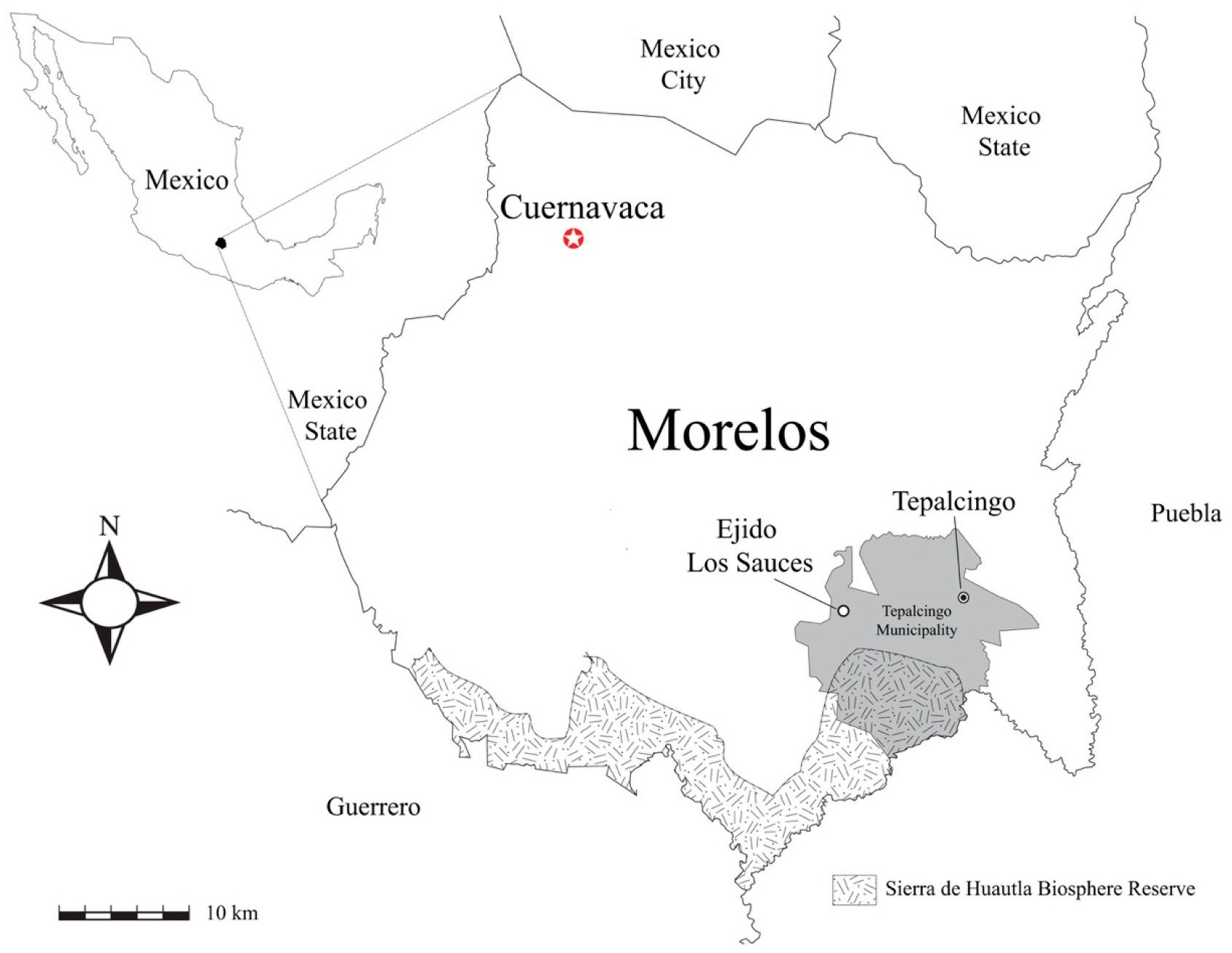 Forests 11 00991 g001 Forests 11 00991 g001