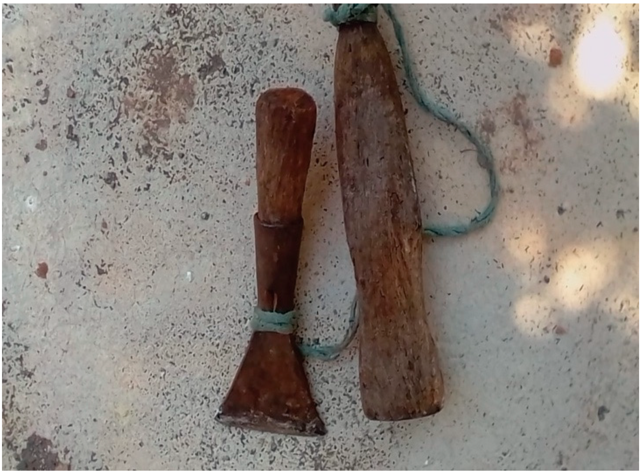 Forests 11 00991 g006 Forests 11 00991 g006