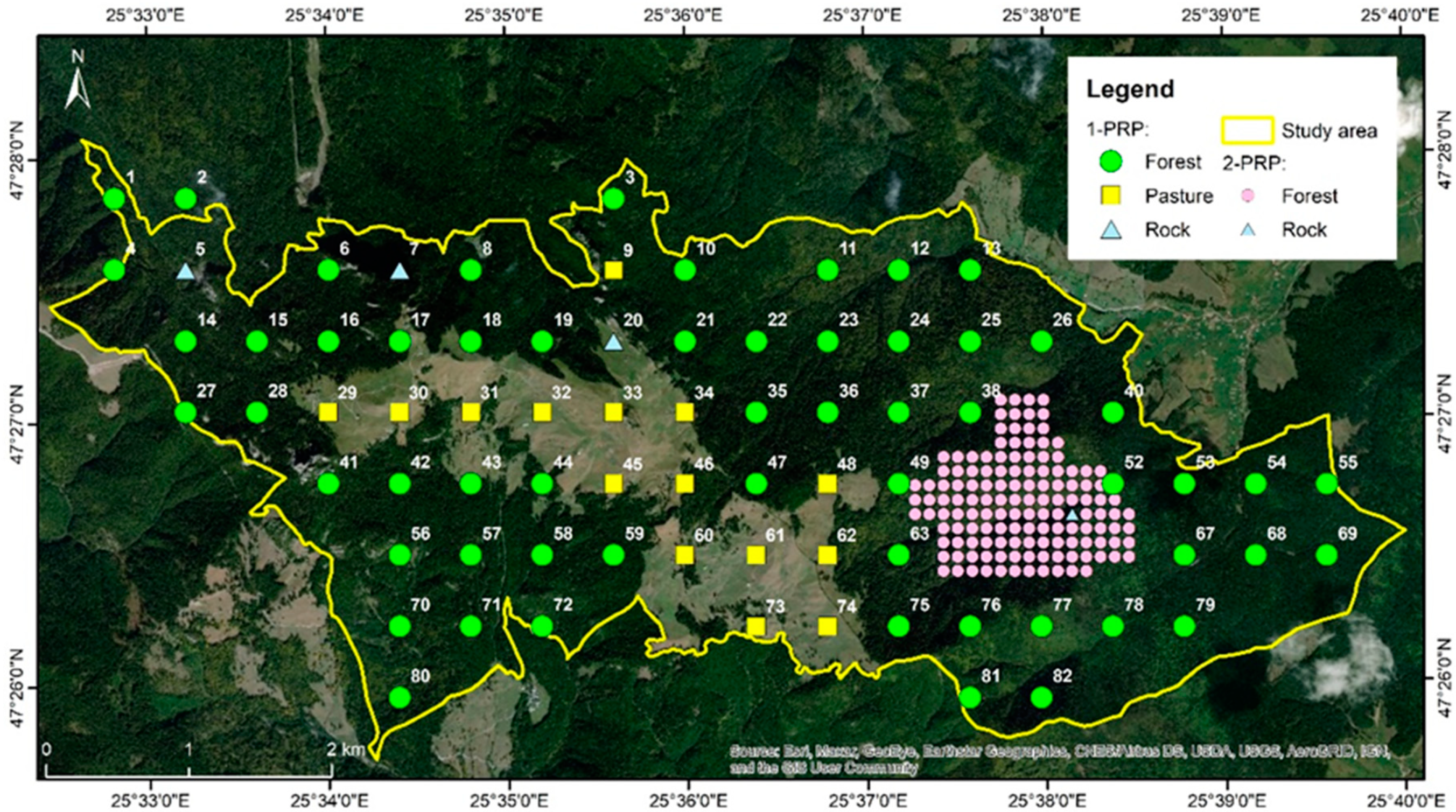 Forests 11 01004 g003