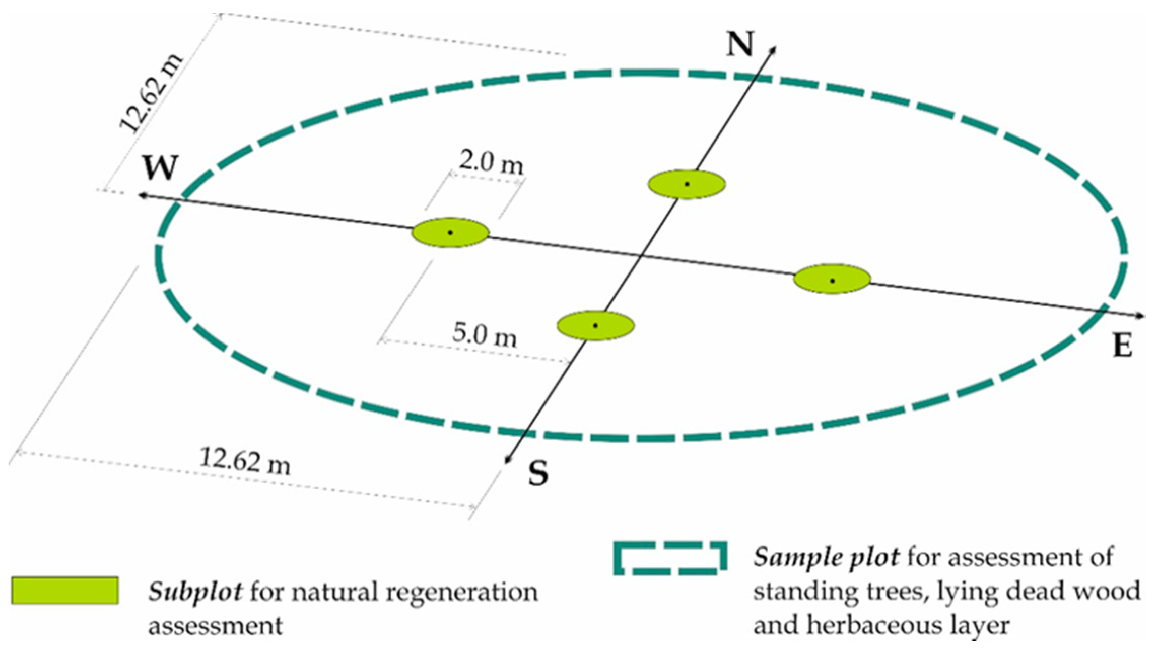 Forests 11 01004 g004