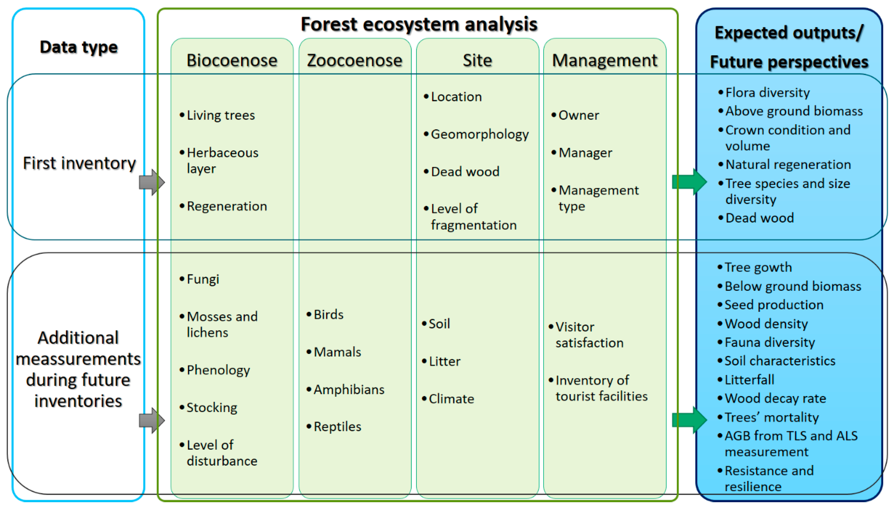 Forests 11 01004 g006