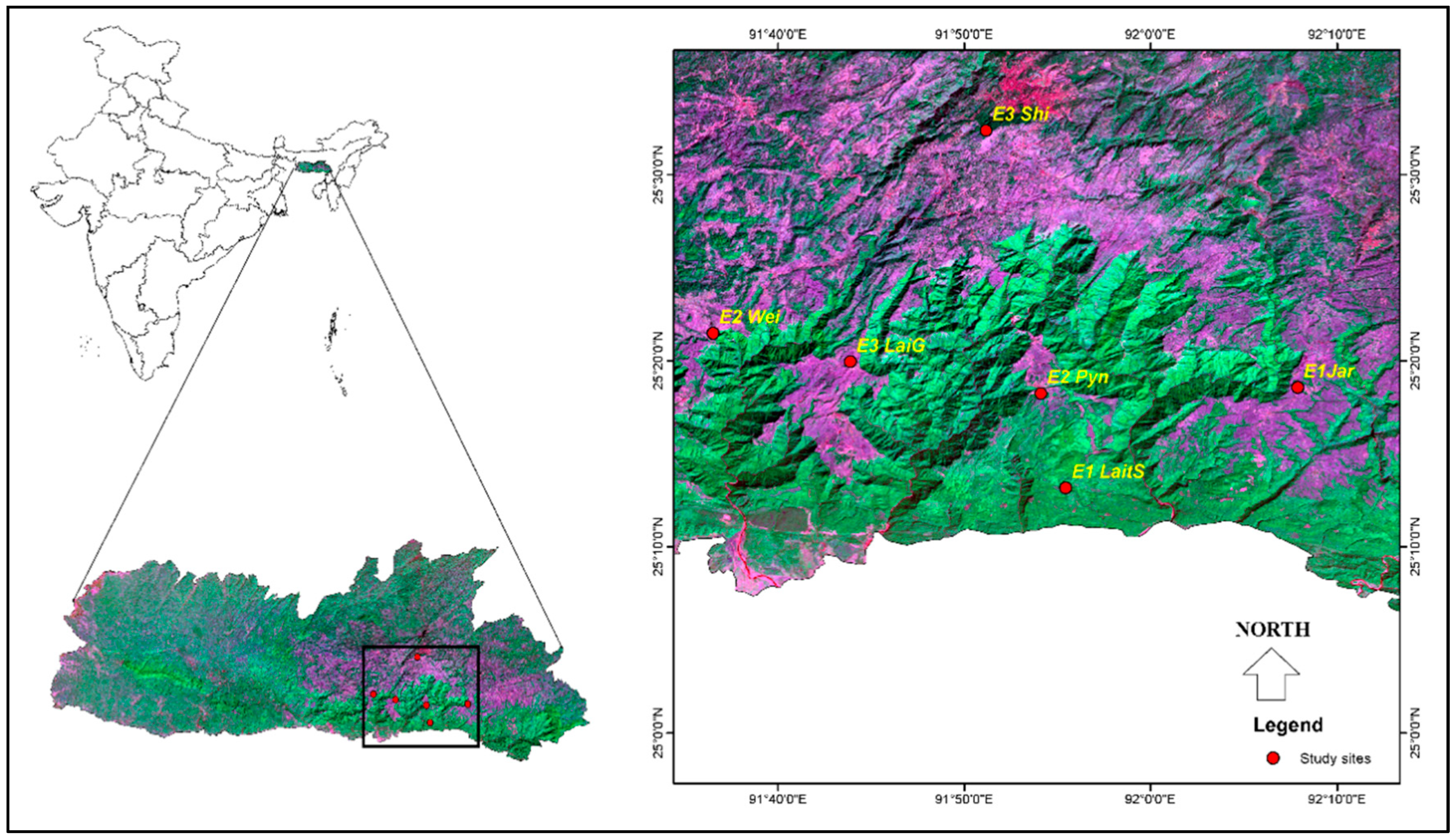 Forests 11 01008 g002 Forests 11 01008 g002