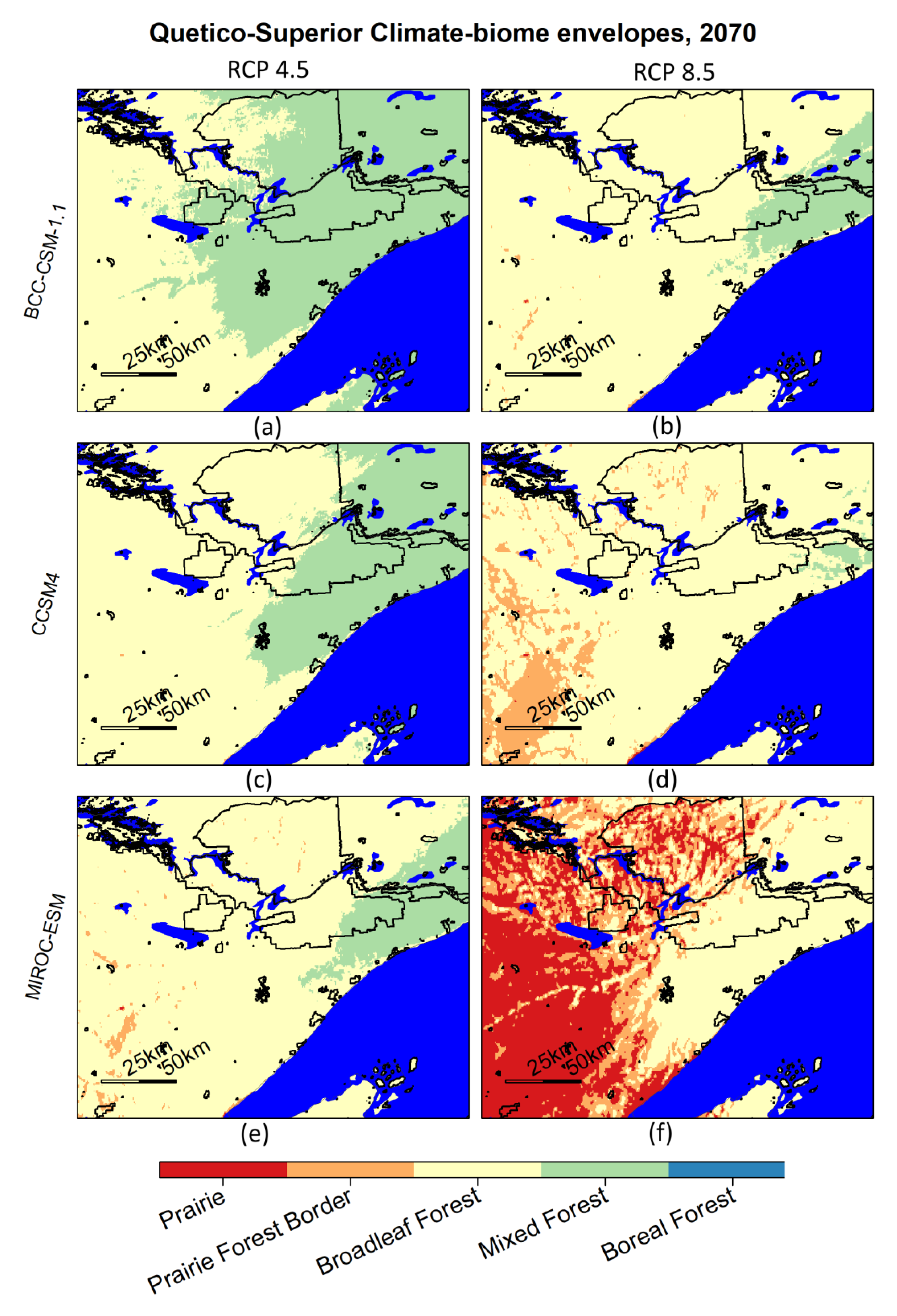 Forests 11 01015 g008