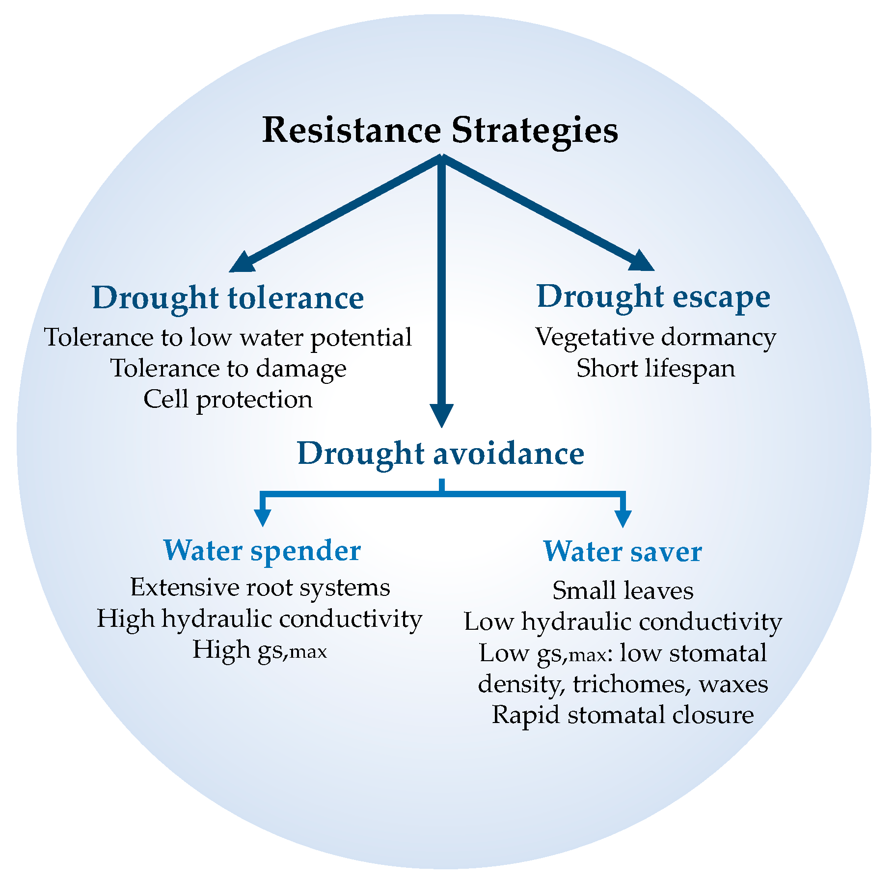 Forests 11 01028 g001