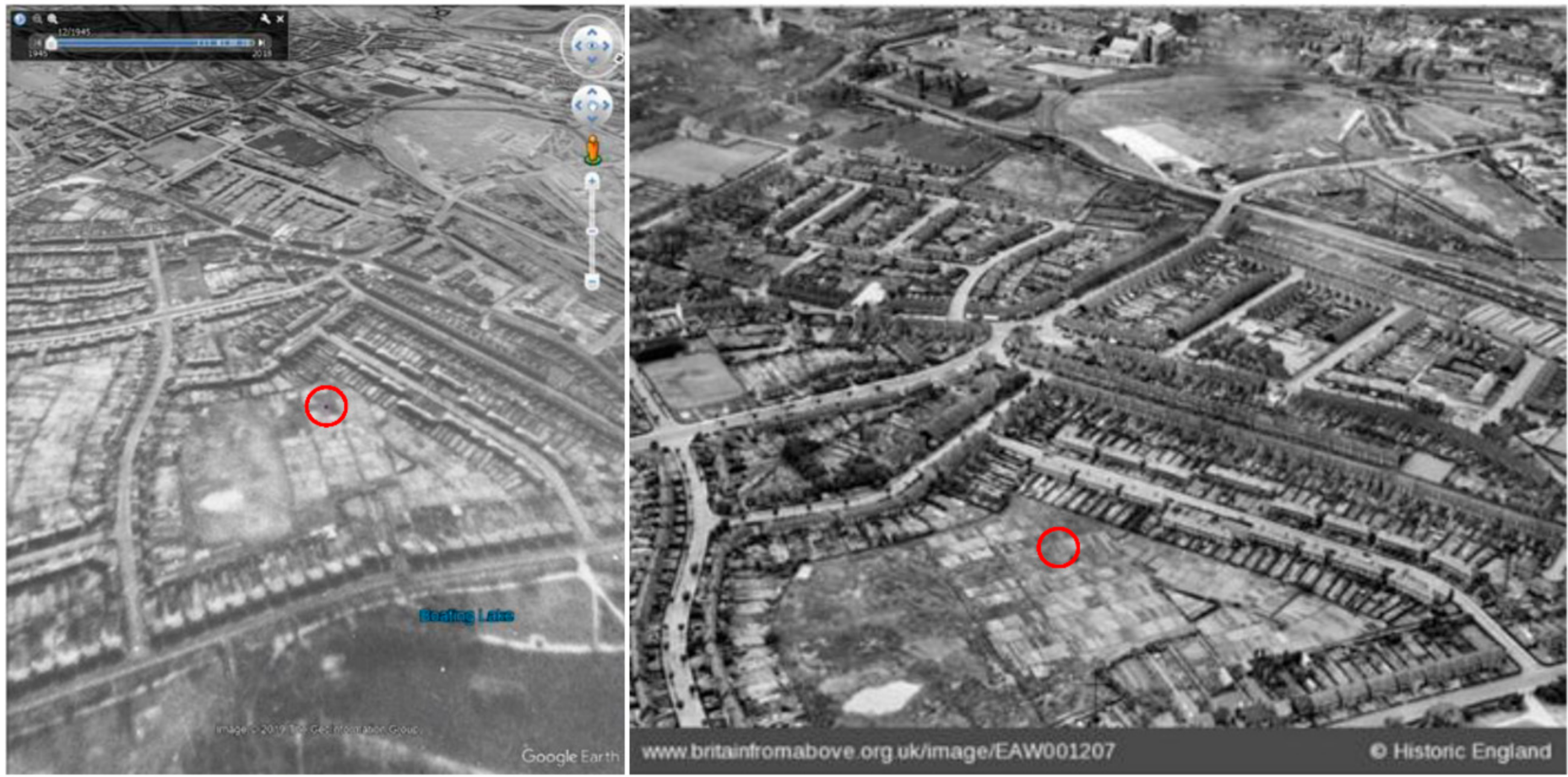 Forests 11 01049 g002