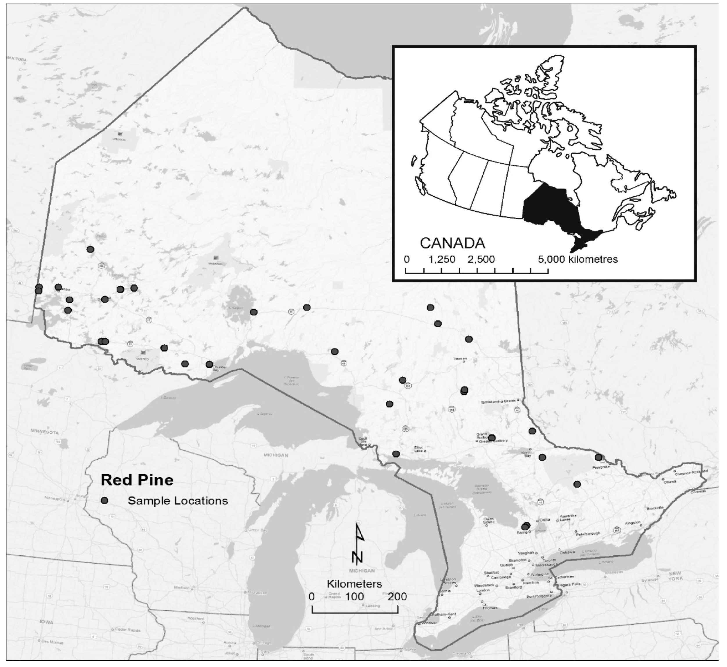 Forests 11 01050 g001
