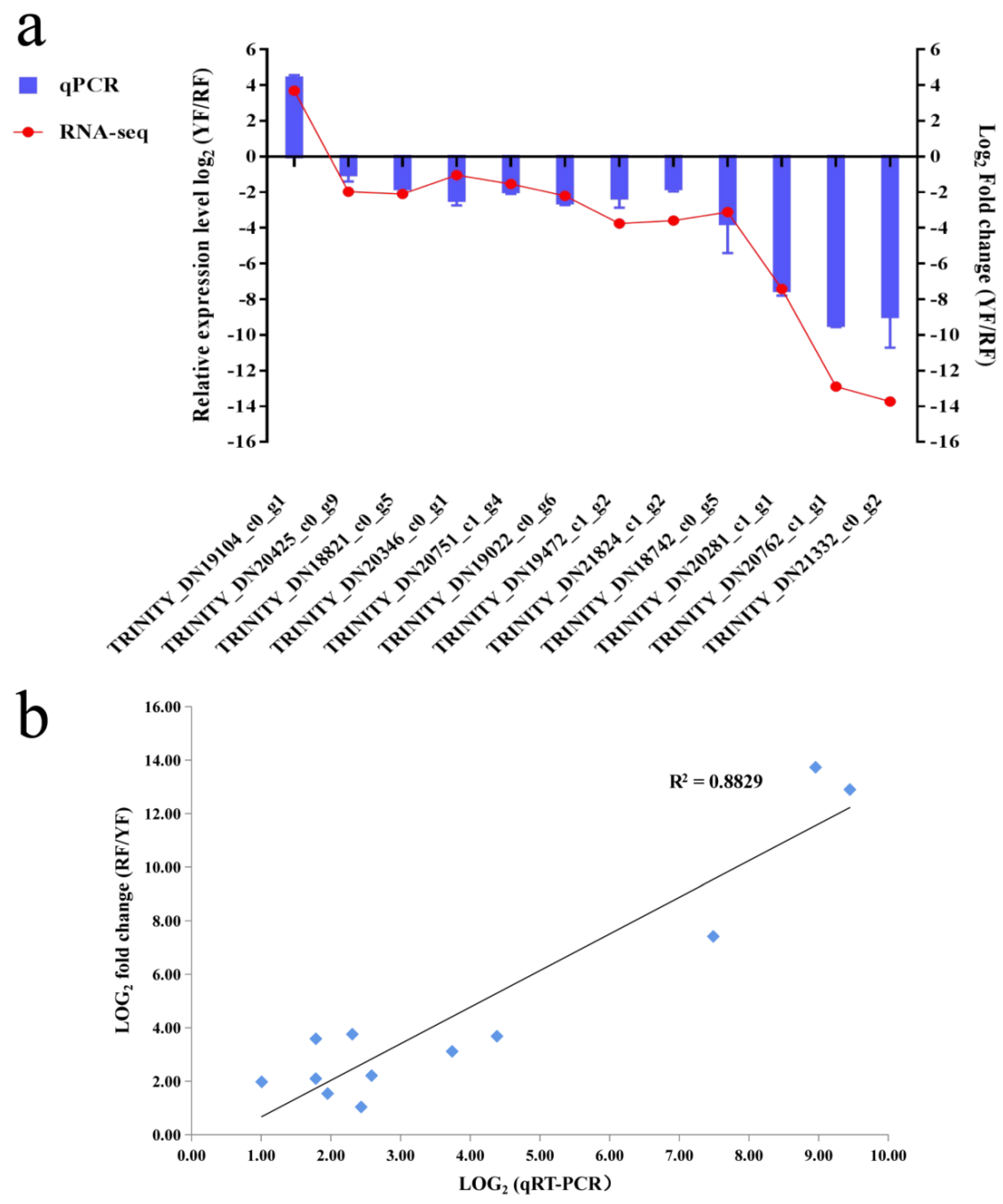 Forests 11 01065 g007